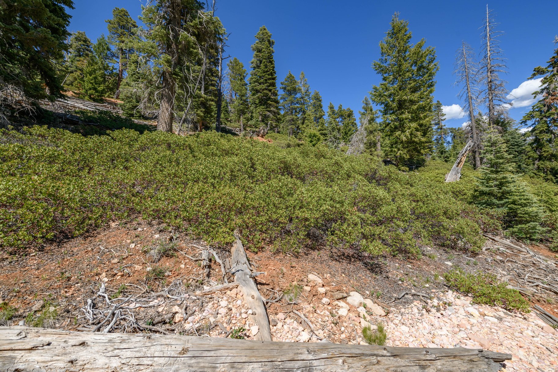 5150 W North Fork Road
