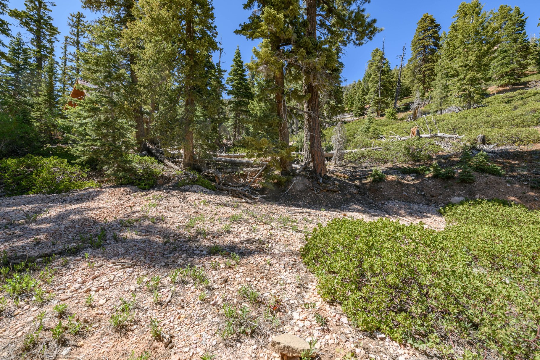 5150 W North Fork Road