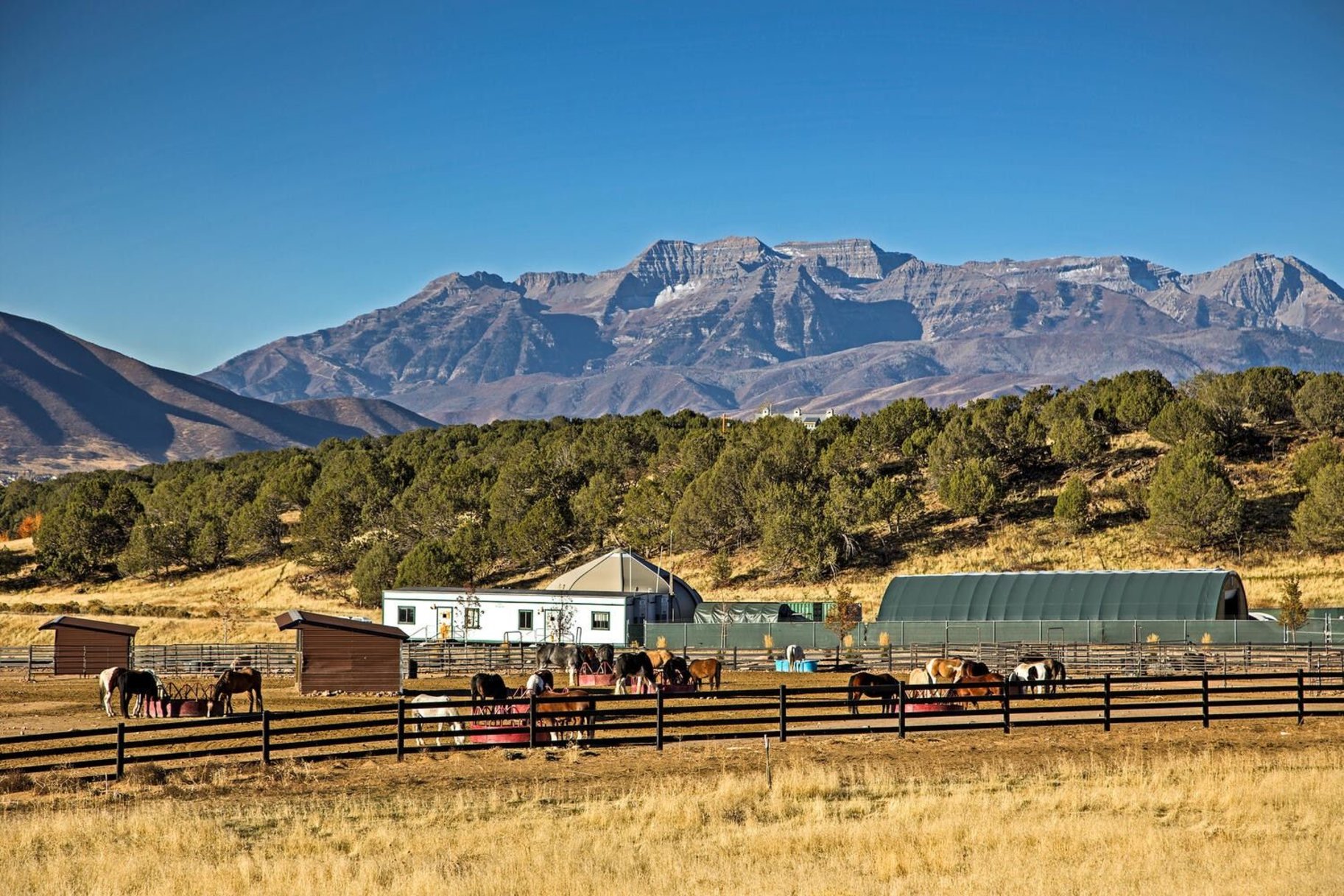 2038 E Chimney Rock Way Lot 239