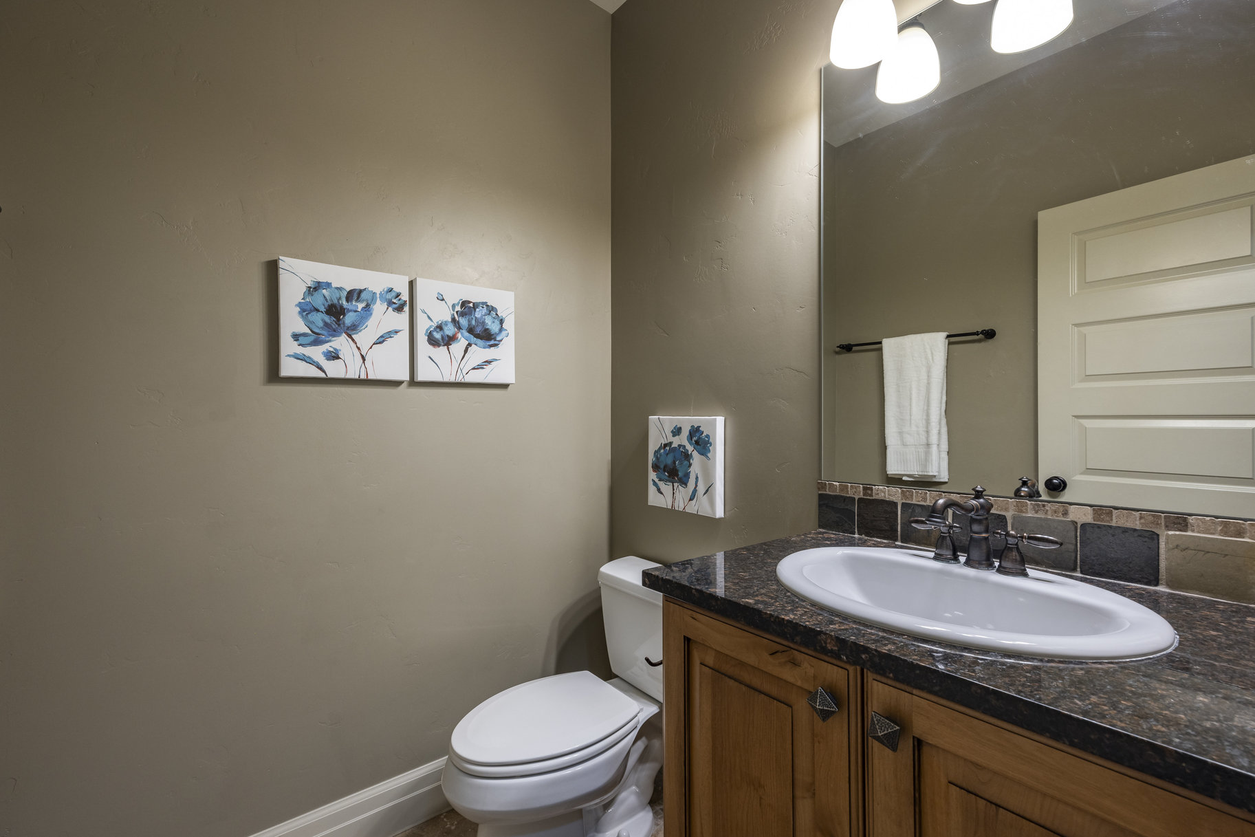 14794 S Vintage View Lane