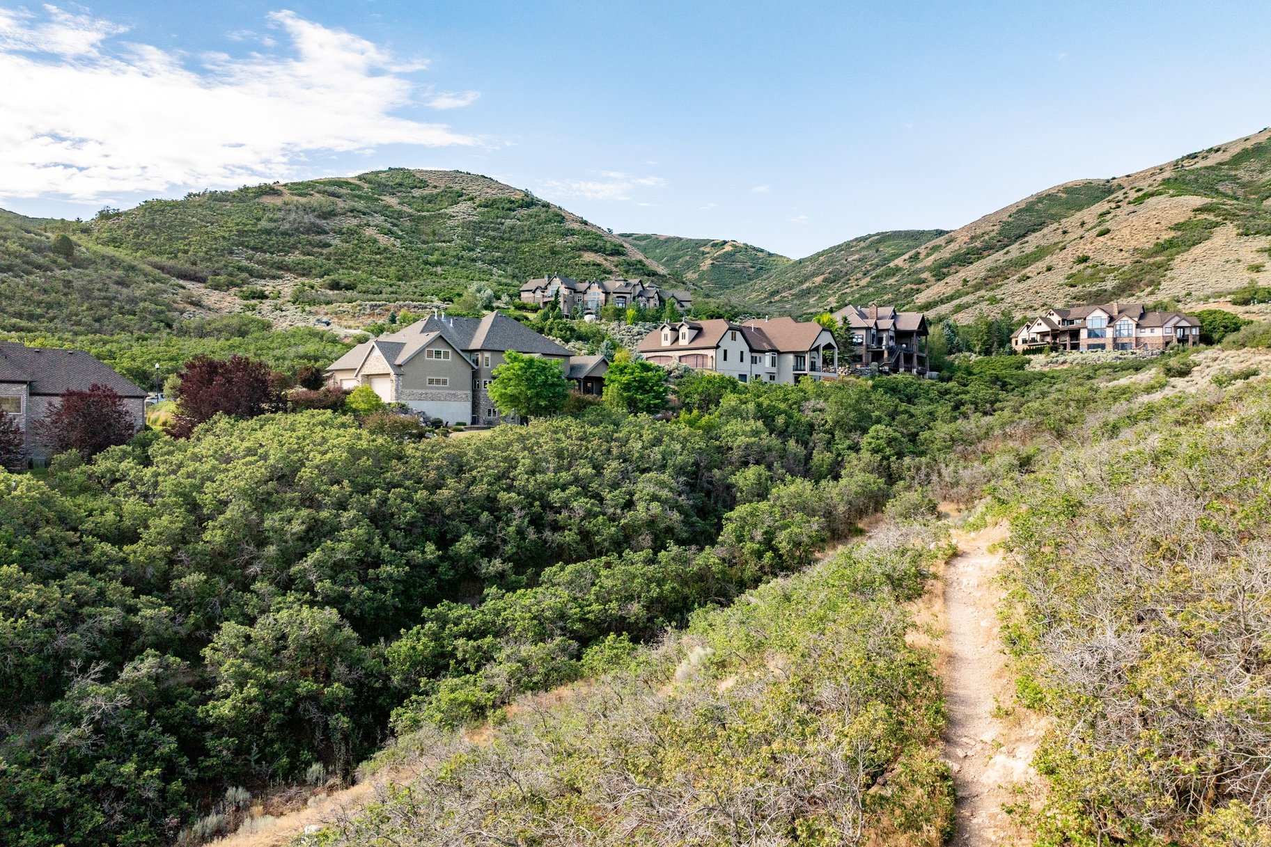 14794 S Vintage View Lane