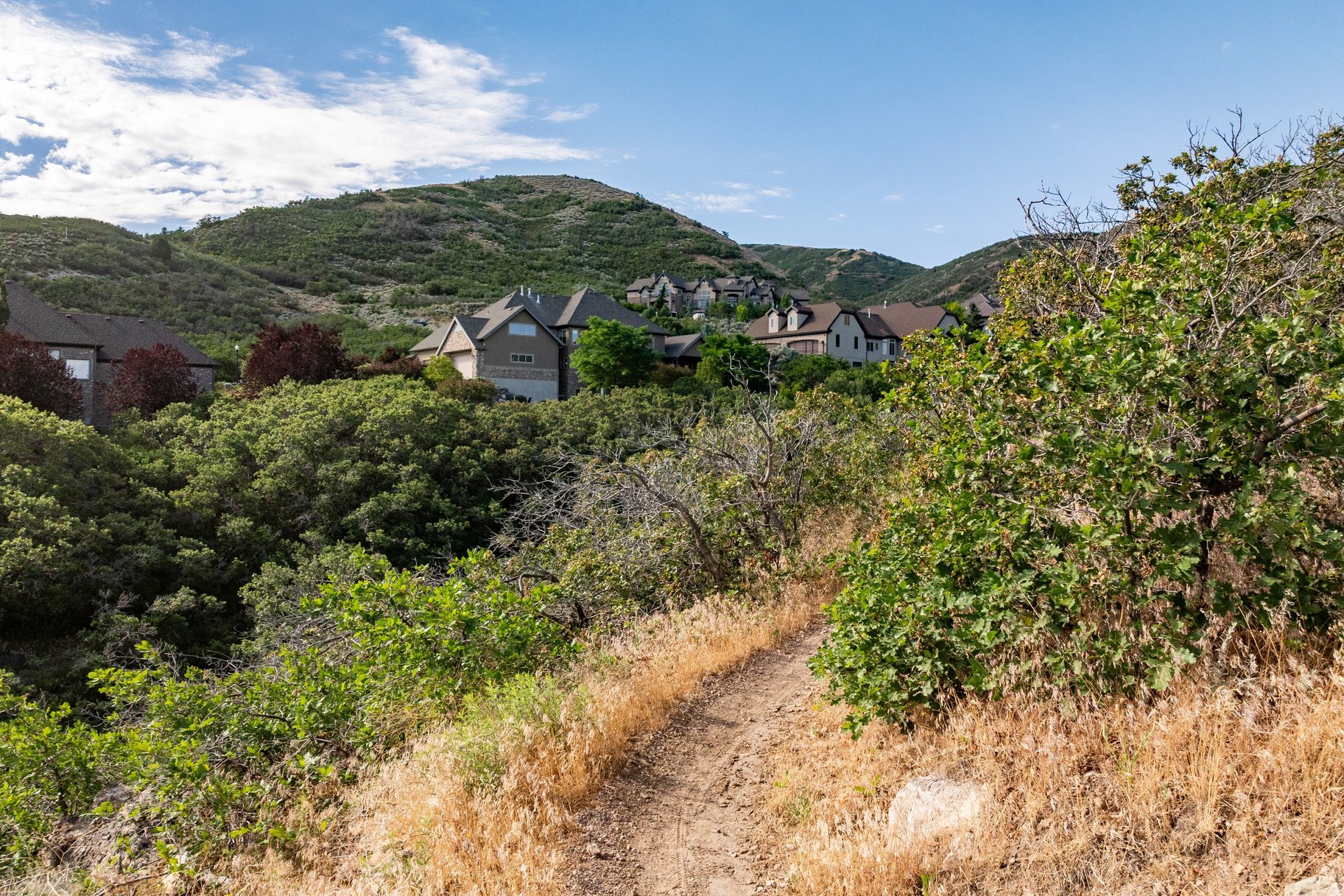 14794 S Vintage View Lane