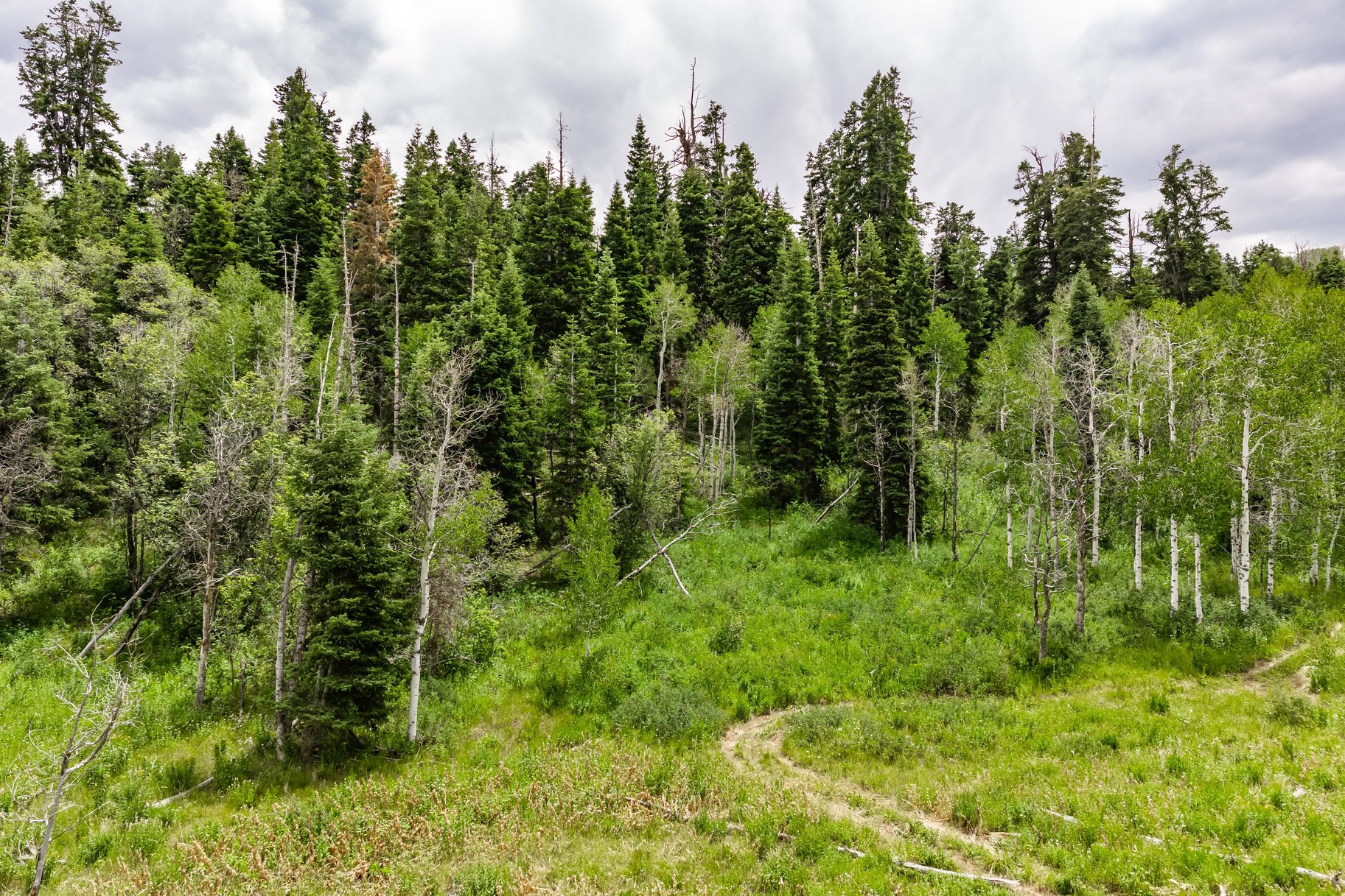 2241 S Forest Meadow Road Lot 158