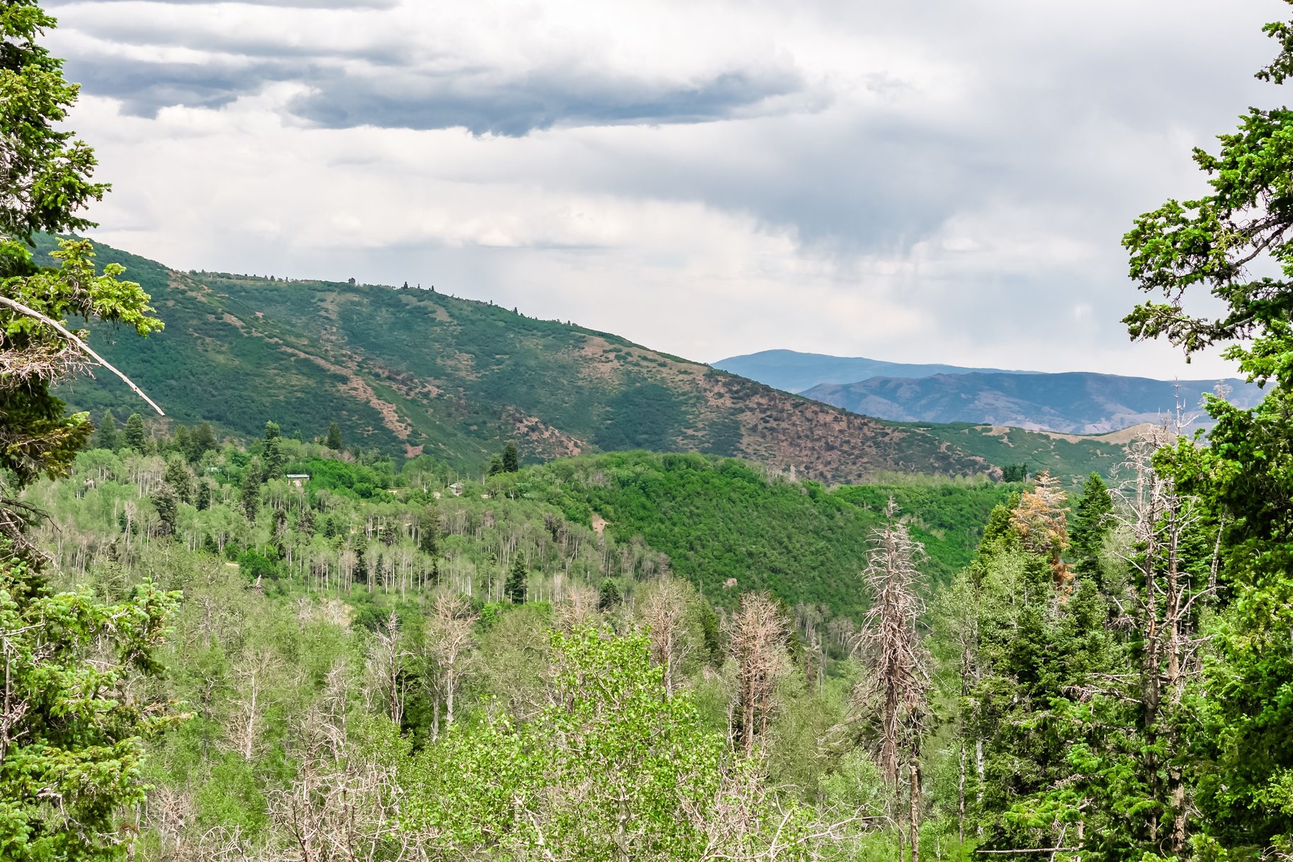 2241 S Forest Meadow Road Lot 158
