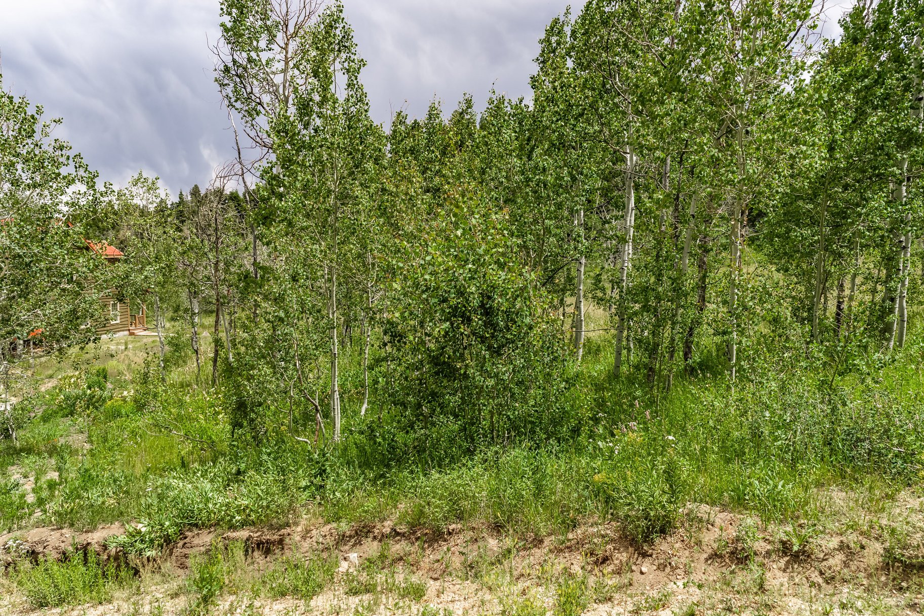 2241 S Forest Meadow Road Lot 158
