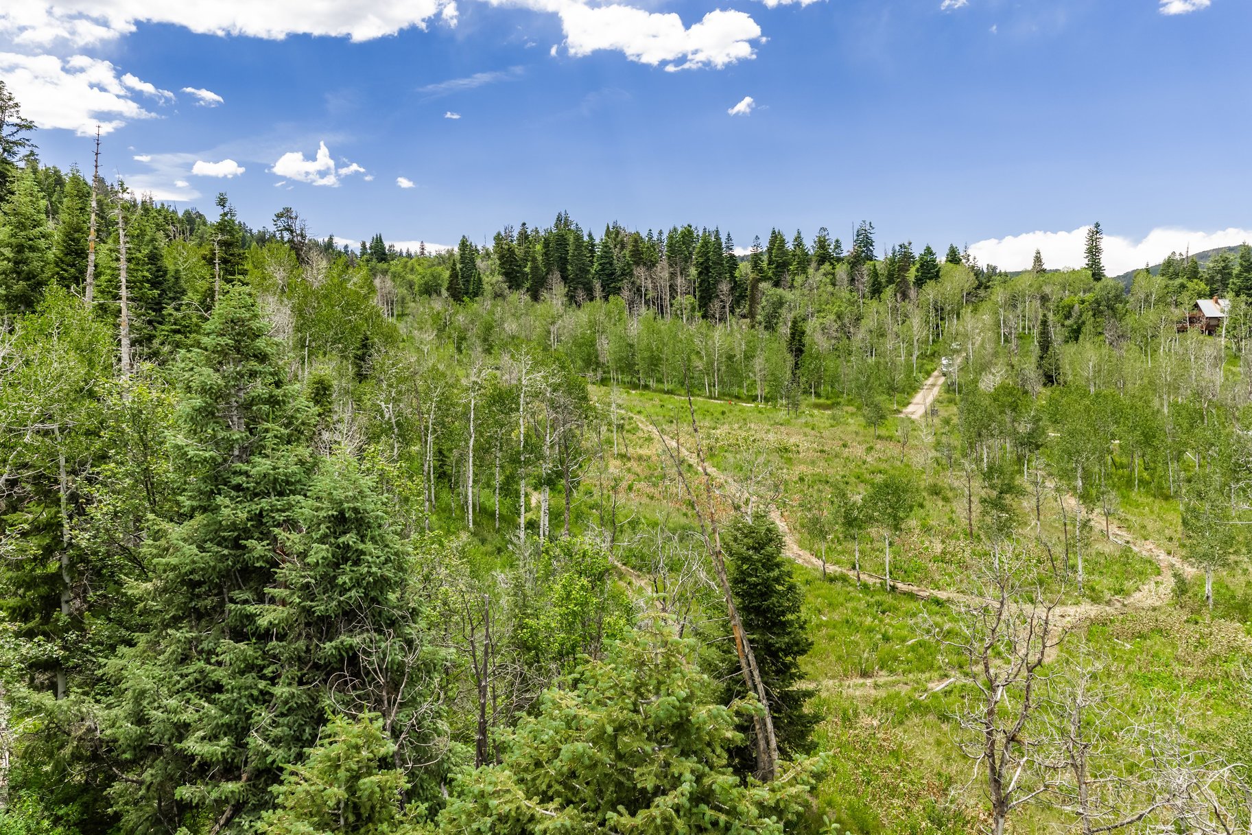 2241 S Forest Meadow Road Lot 158