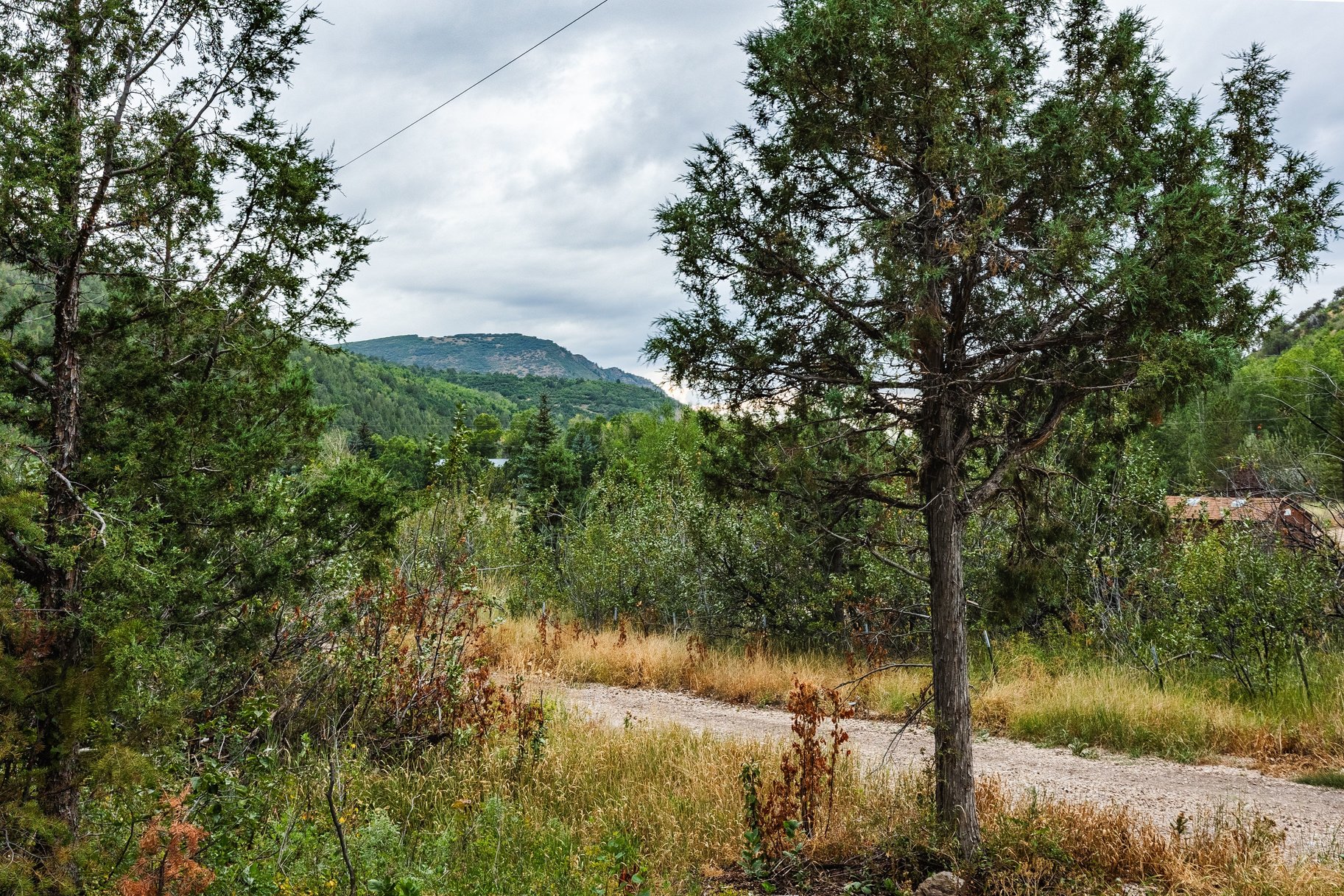 3716 Chokecherry Lane Lot 343