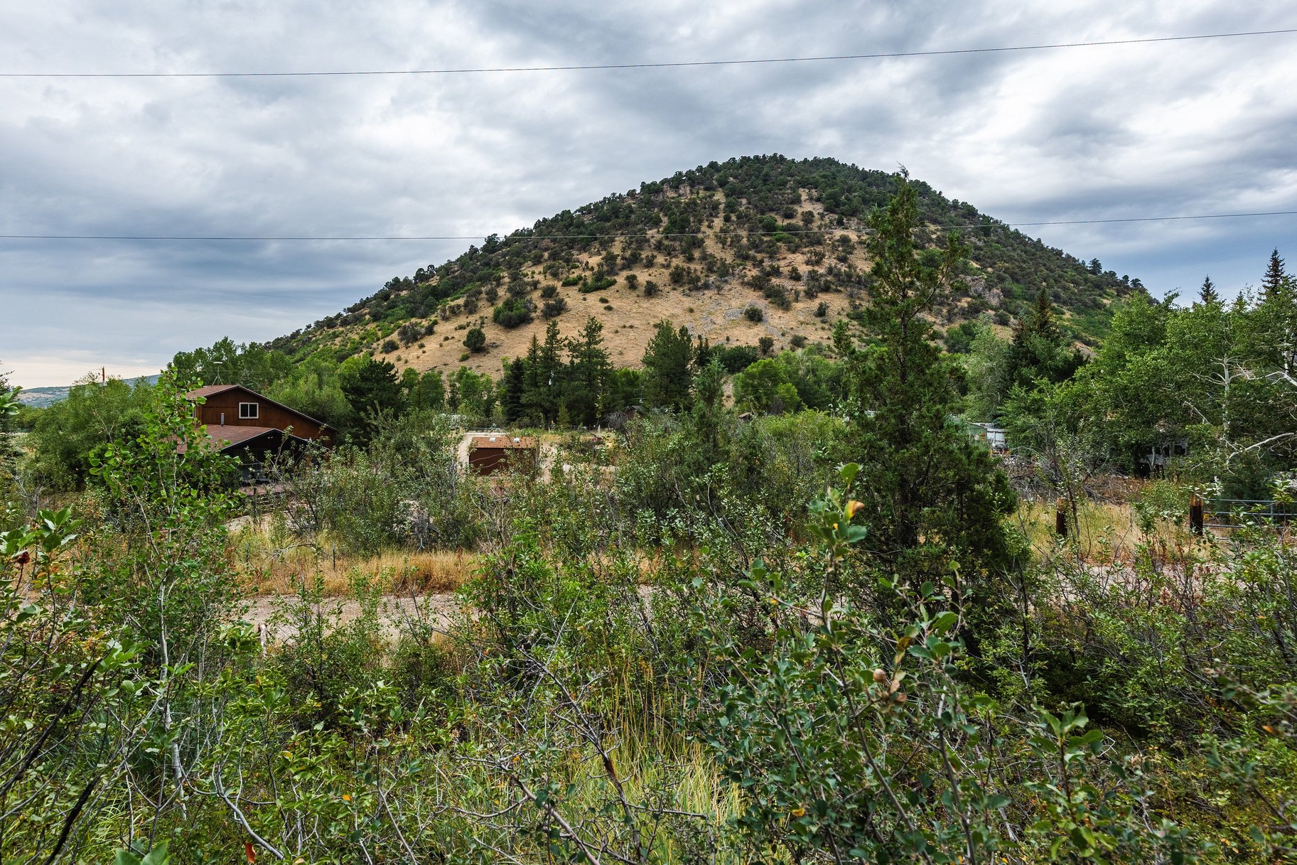 3716 Chokecherry Lane Lot 343