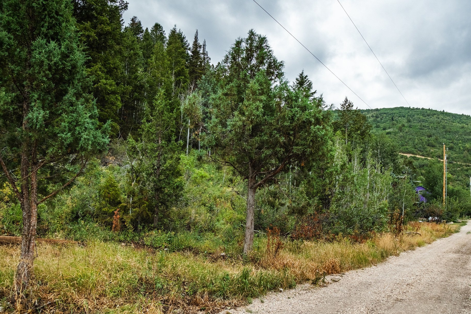3716 Chokecherry Lane Lot 343