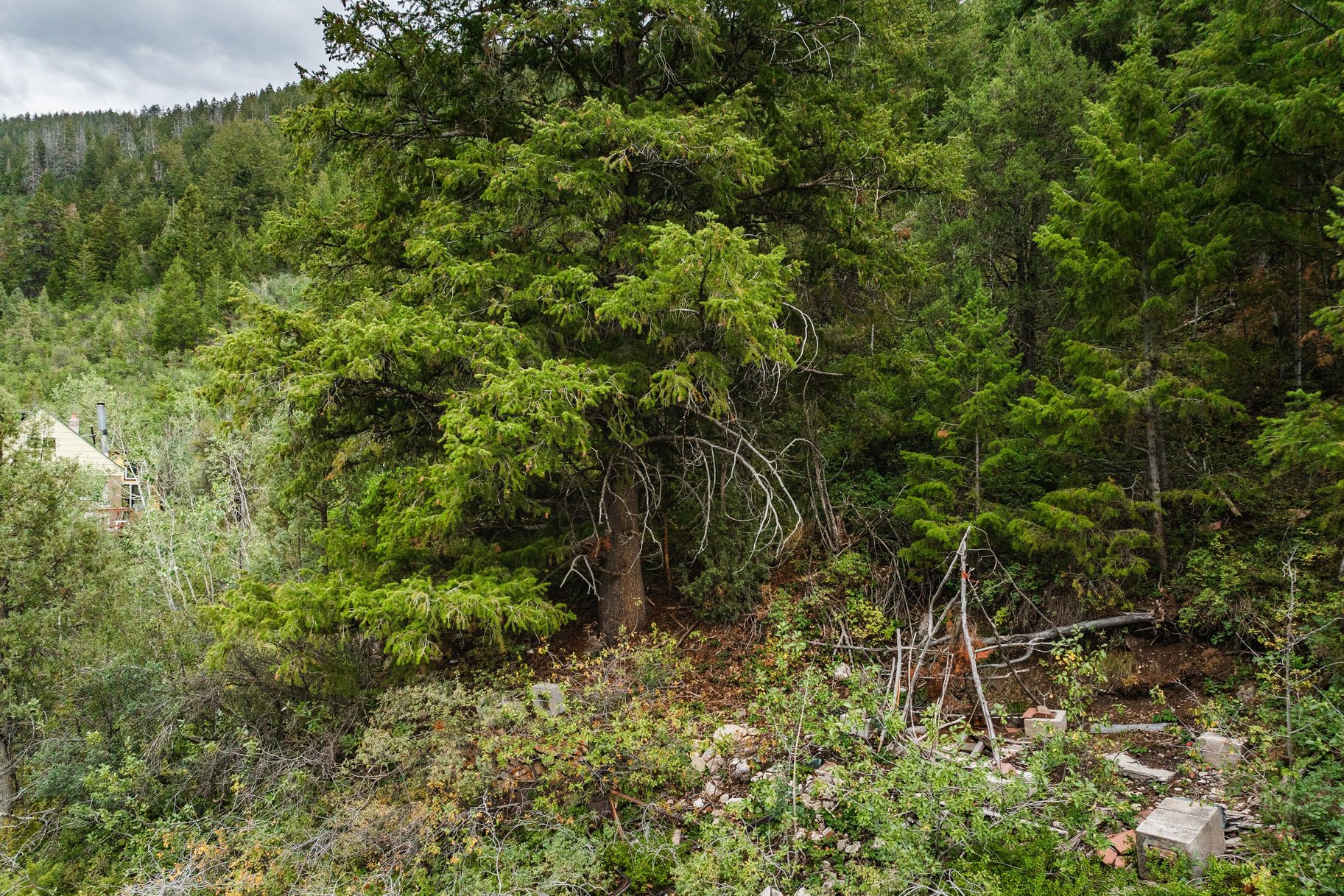 3716 Chokecherry Lane Lot 343