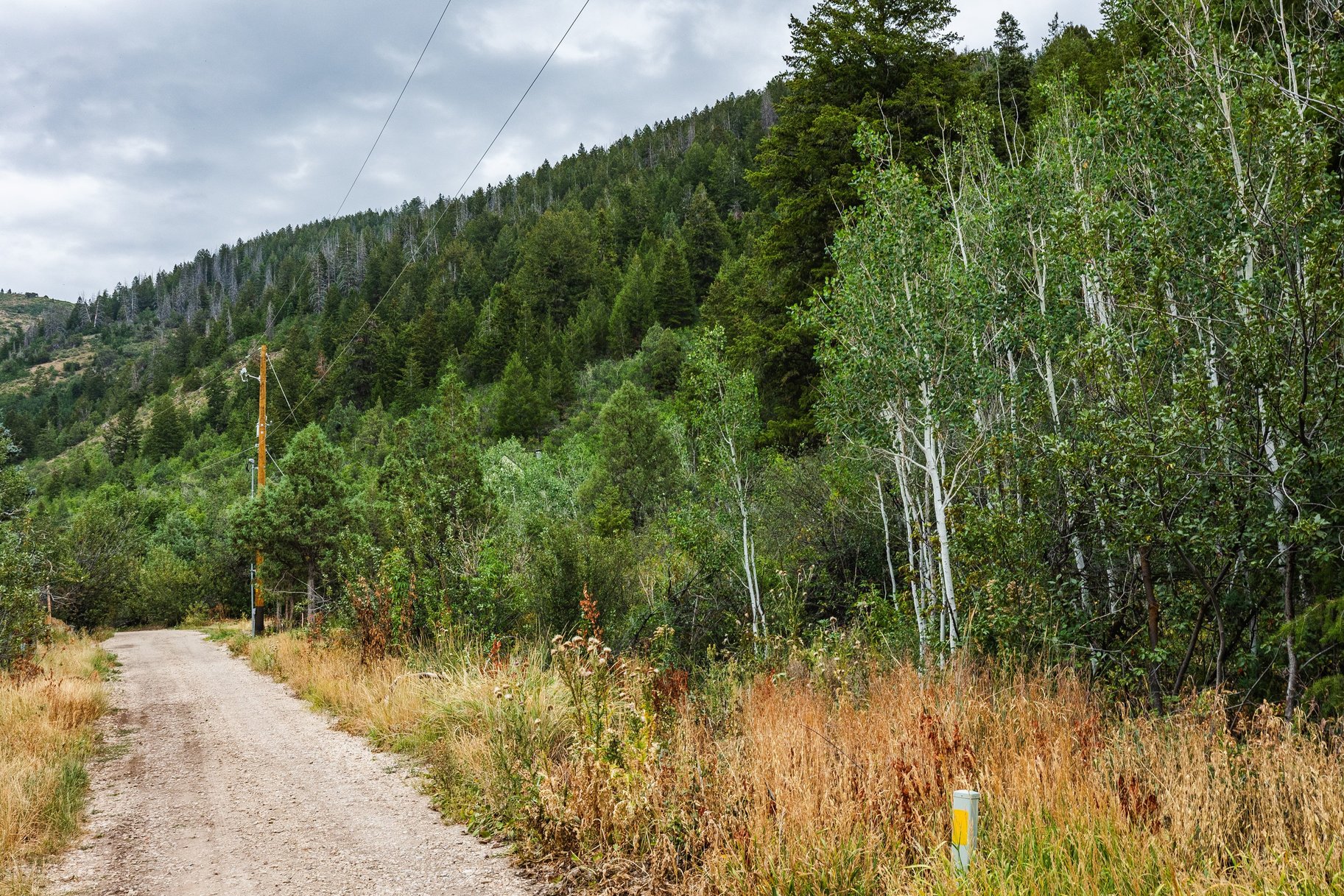 3716 Chokecherry Lane Lot 343