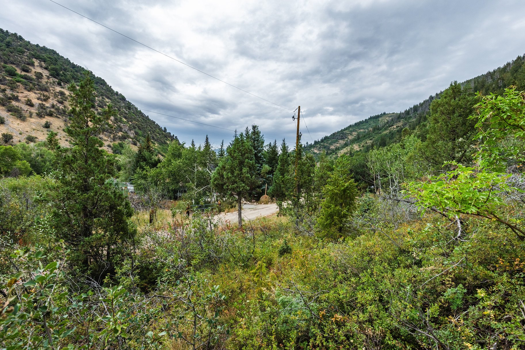 3716 Chokecherry Lane Lot 343