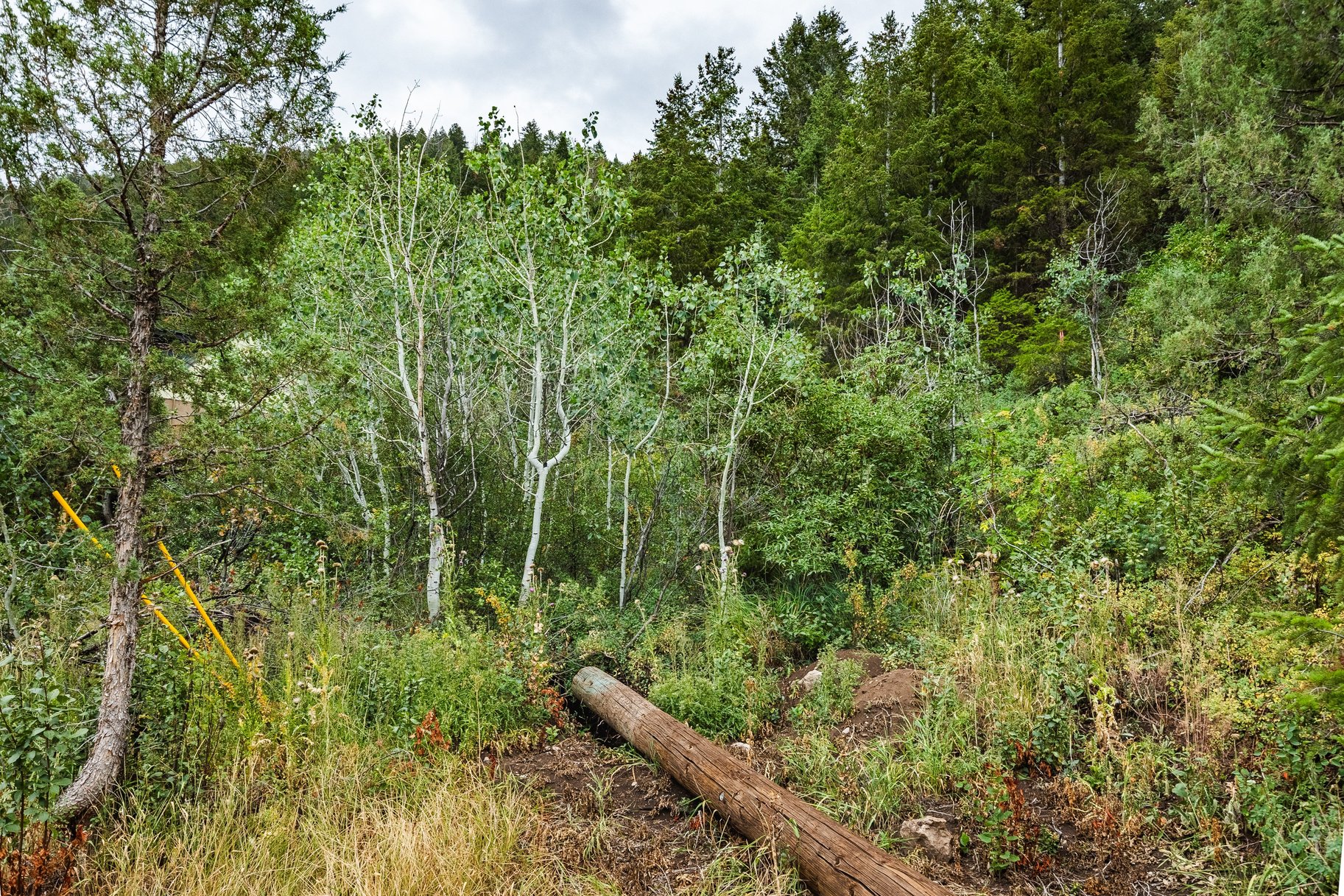 3716 Chokecherry Lane Lot 343