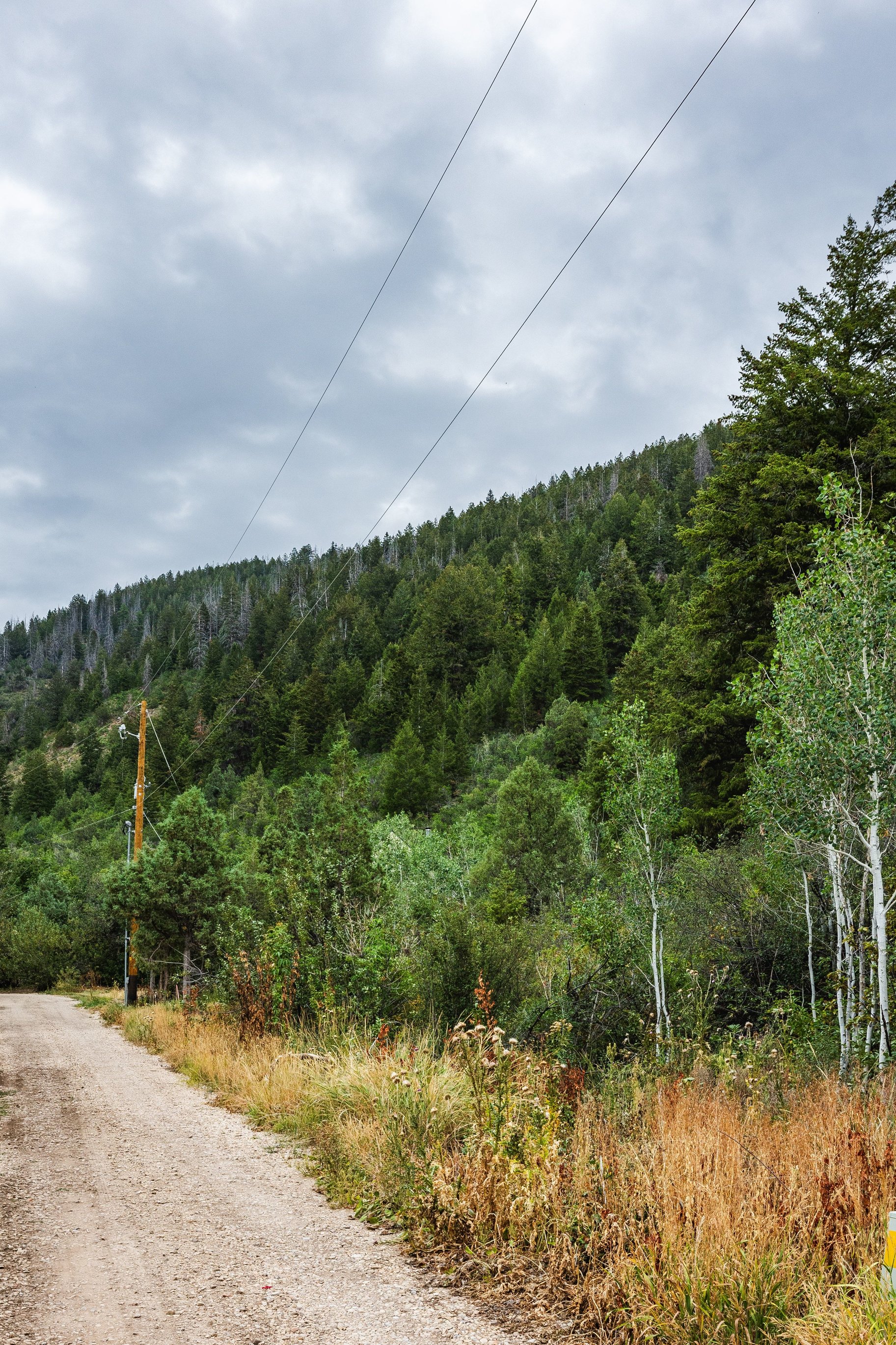 3716 Chokecherry Lane Lot 343