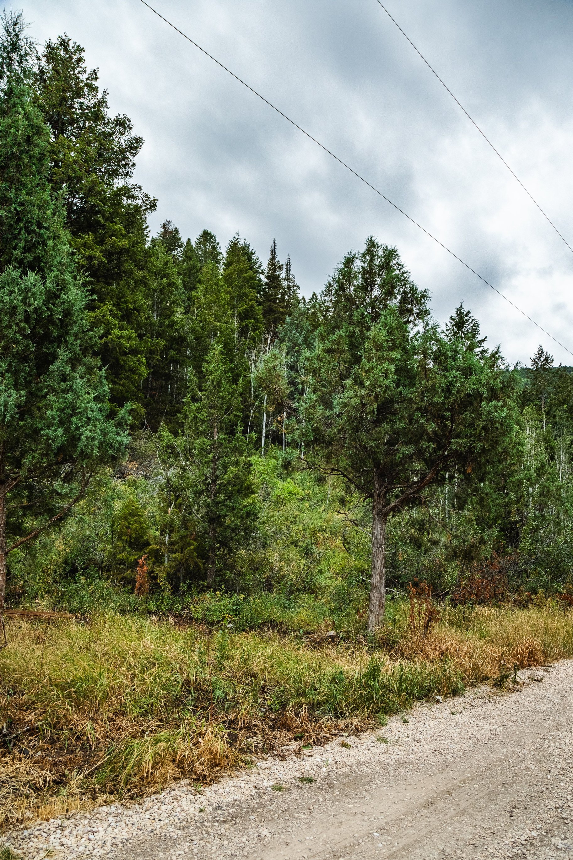 3716 Chokecherry Lane Lot 343