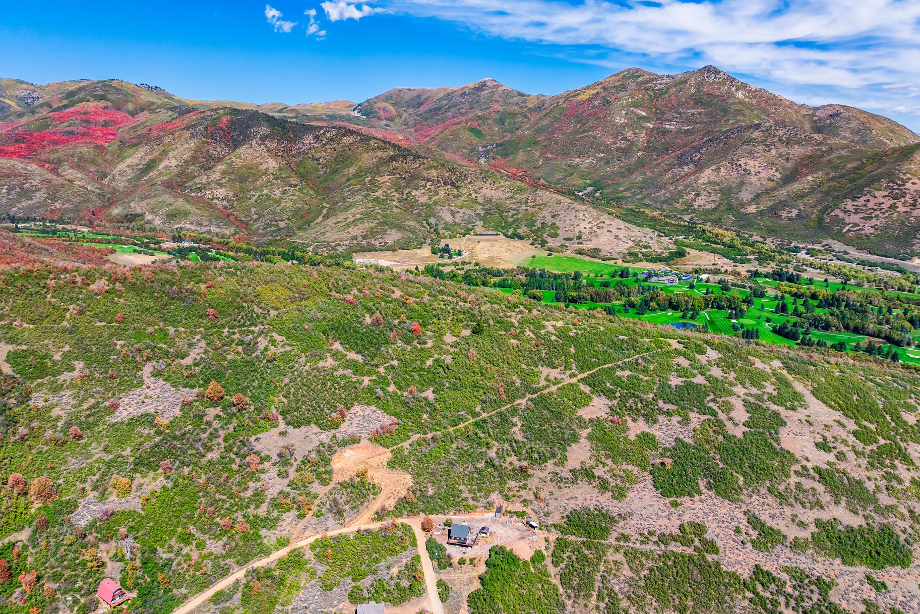 1232 Hillside Drive