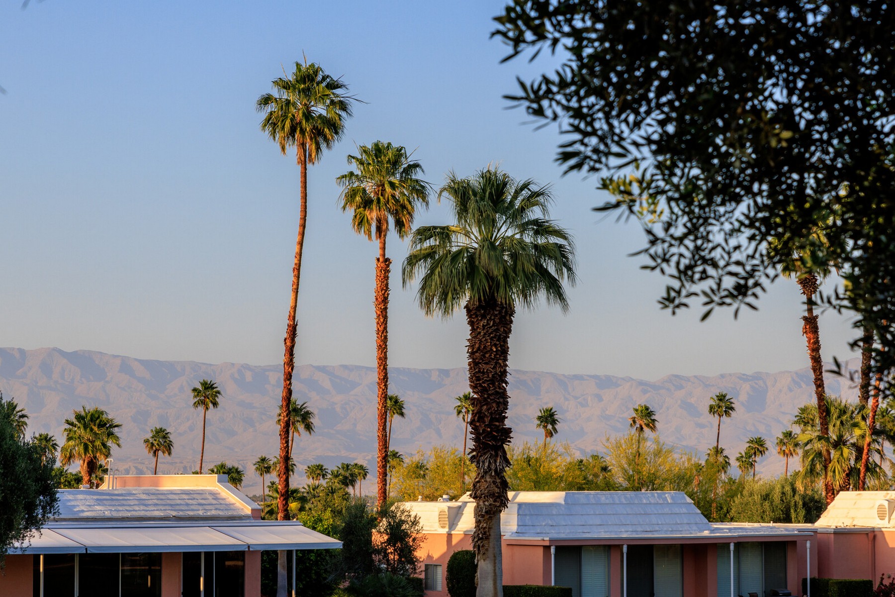 47126 El Menara Circle