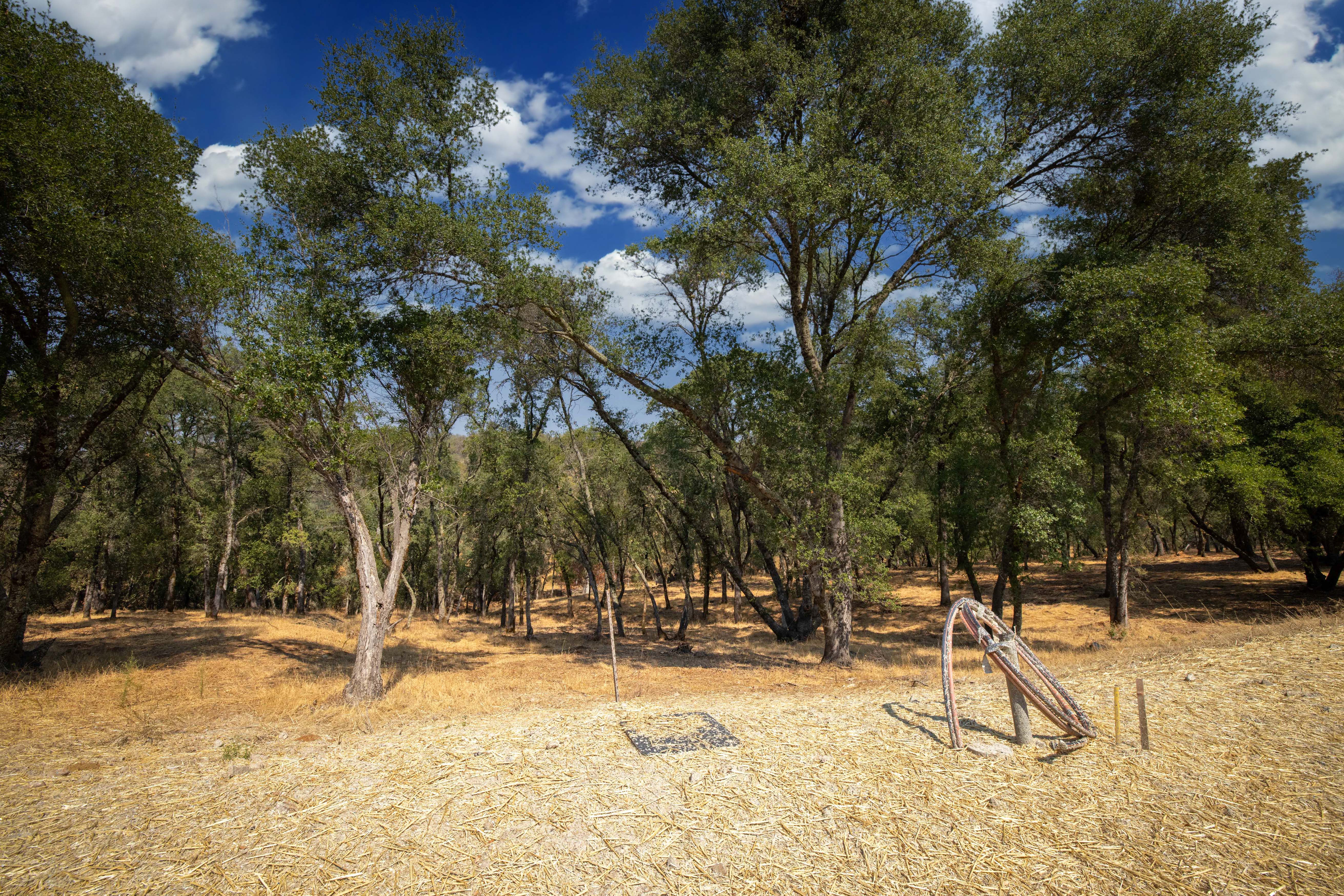 4205 Raphael Drive Lot 92