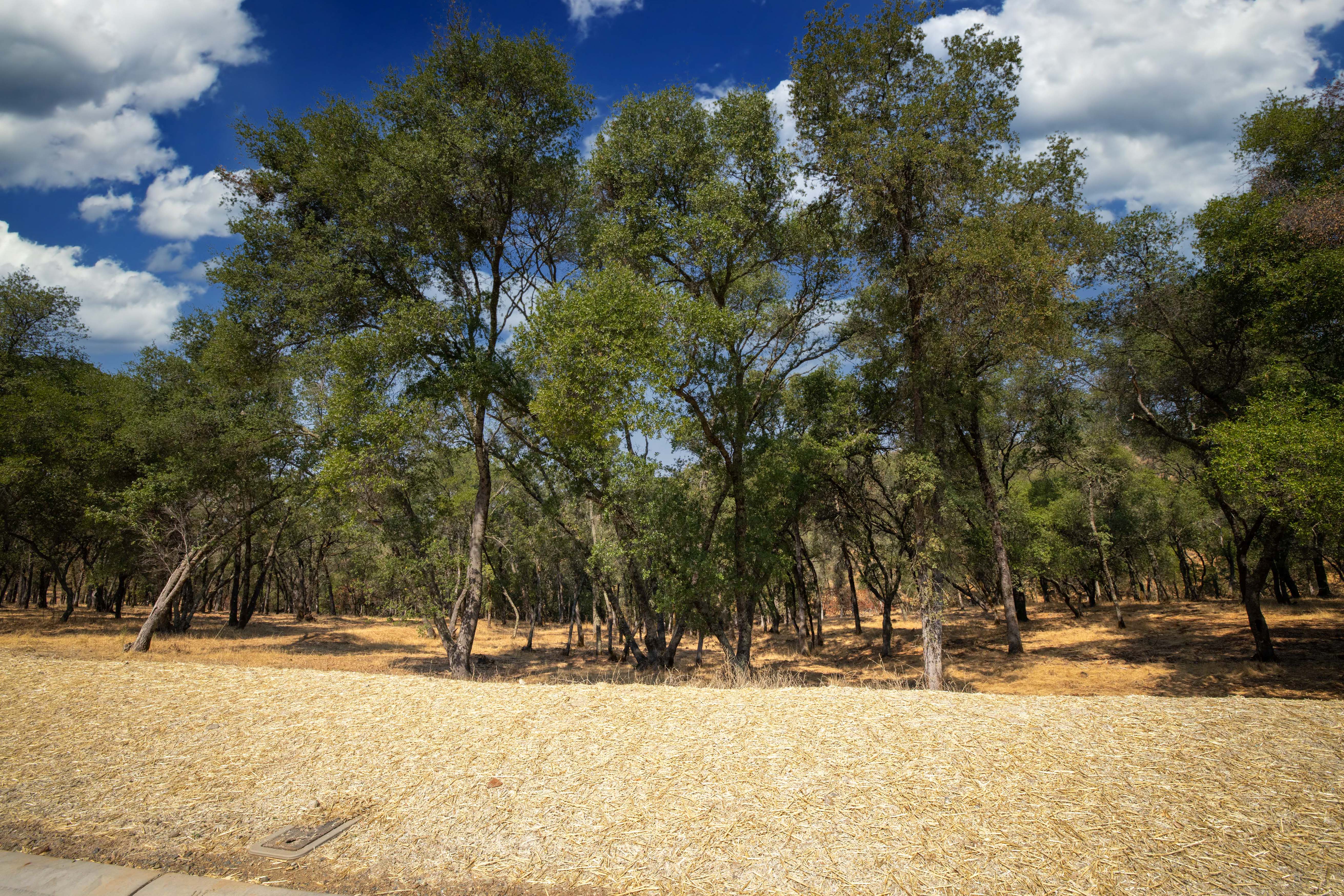 4205 Raphael Drive Lot 92