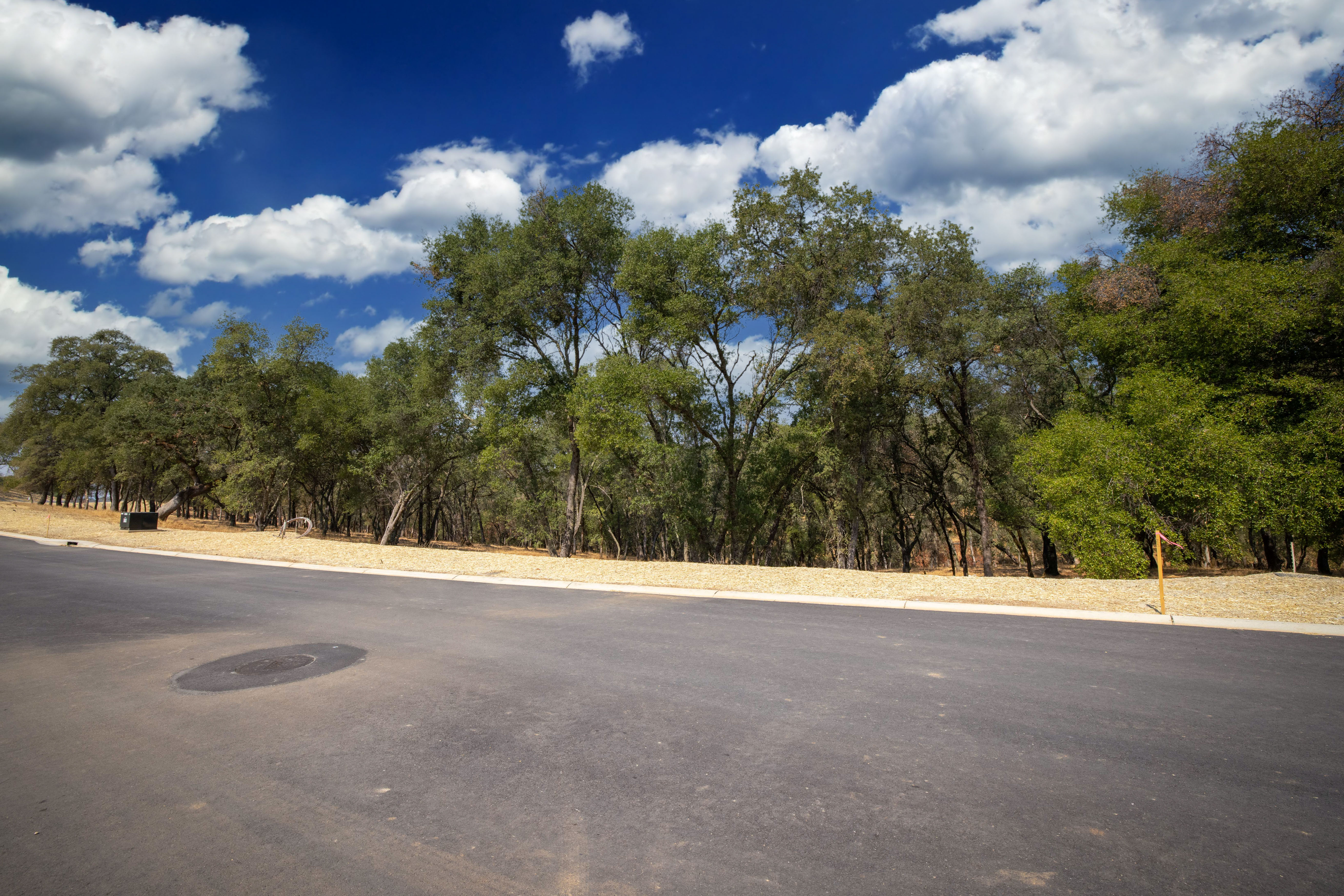 4205 Raphael Drive Lot 92