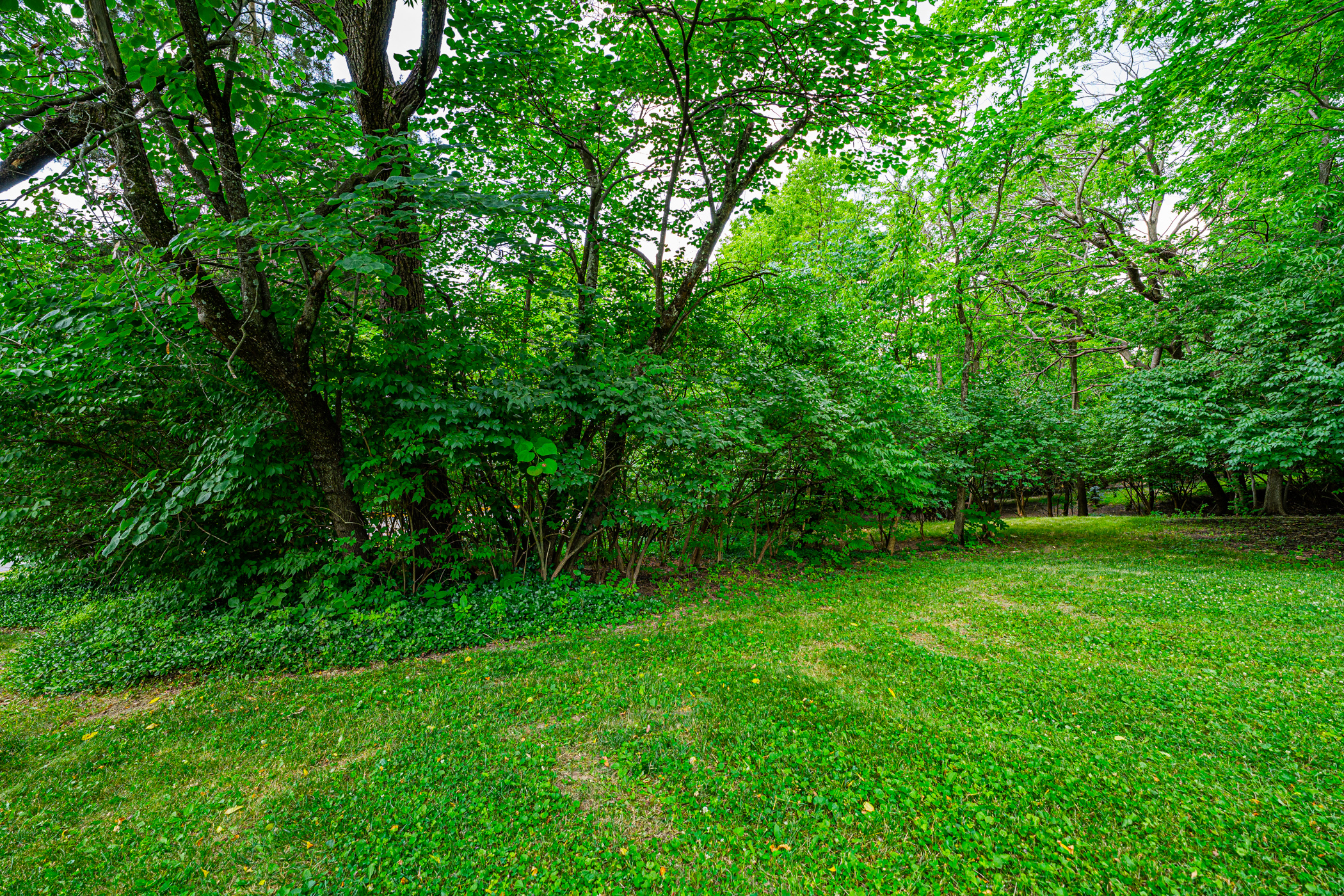 1125 Fairview Avenue