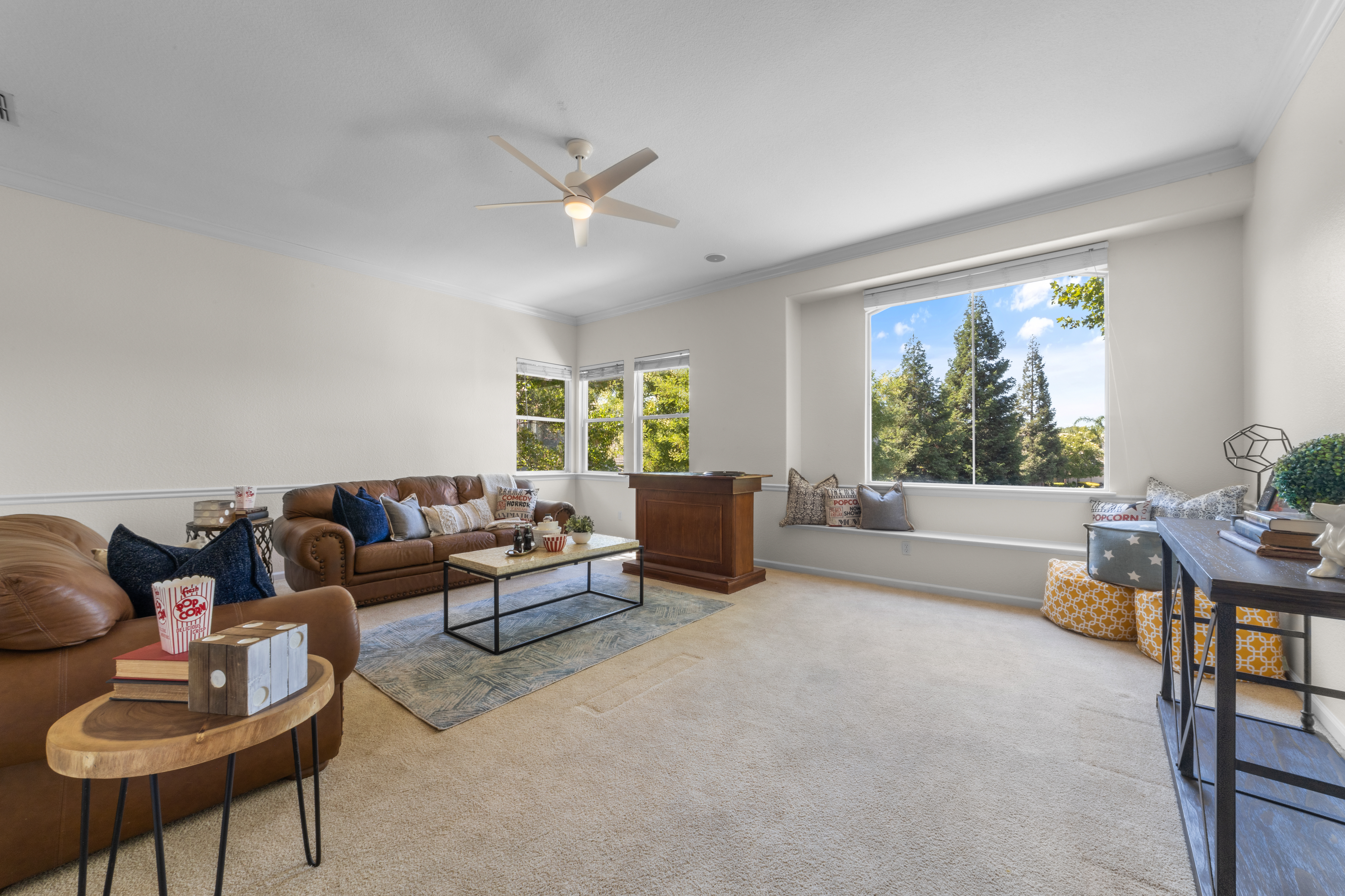 117 Goldstone Court