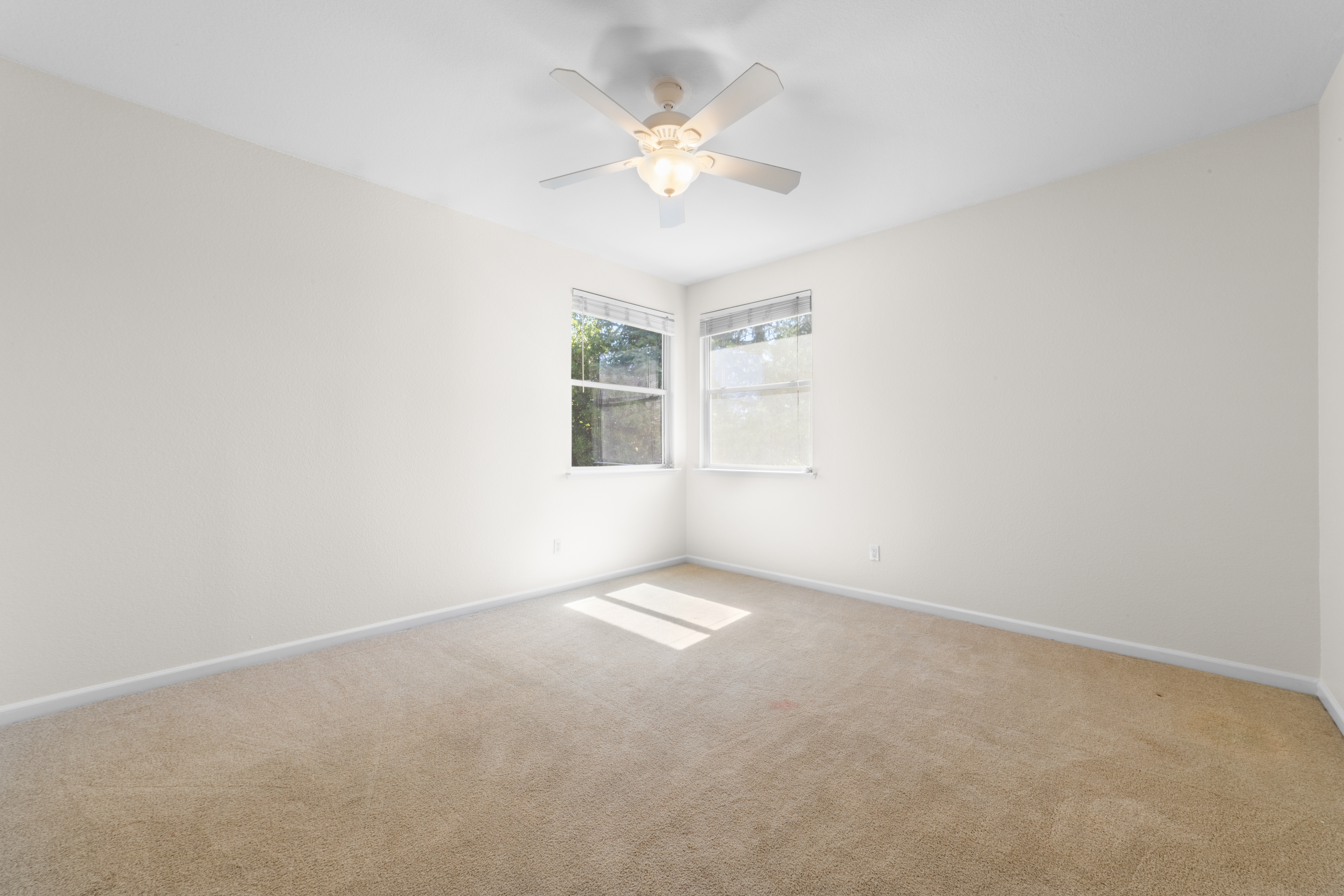 117 Goldstone Court