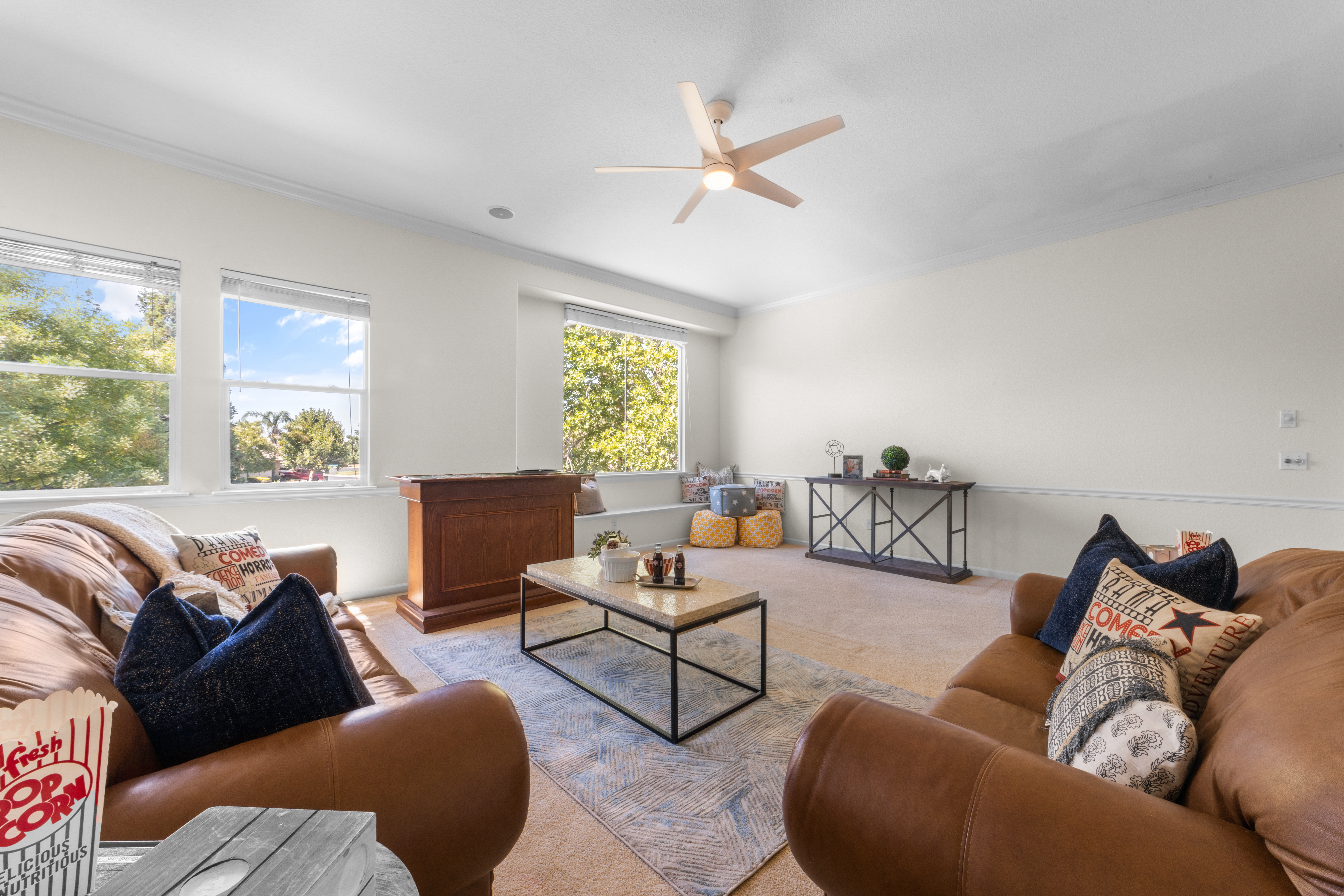 117 Goldstone Court