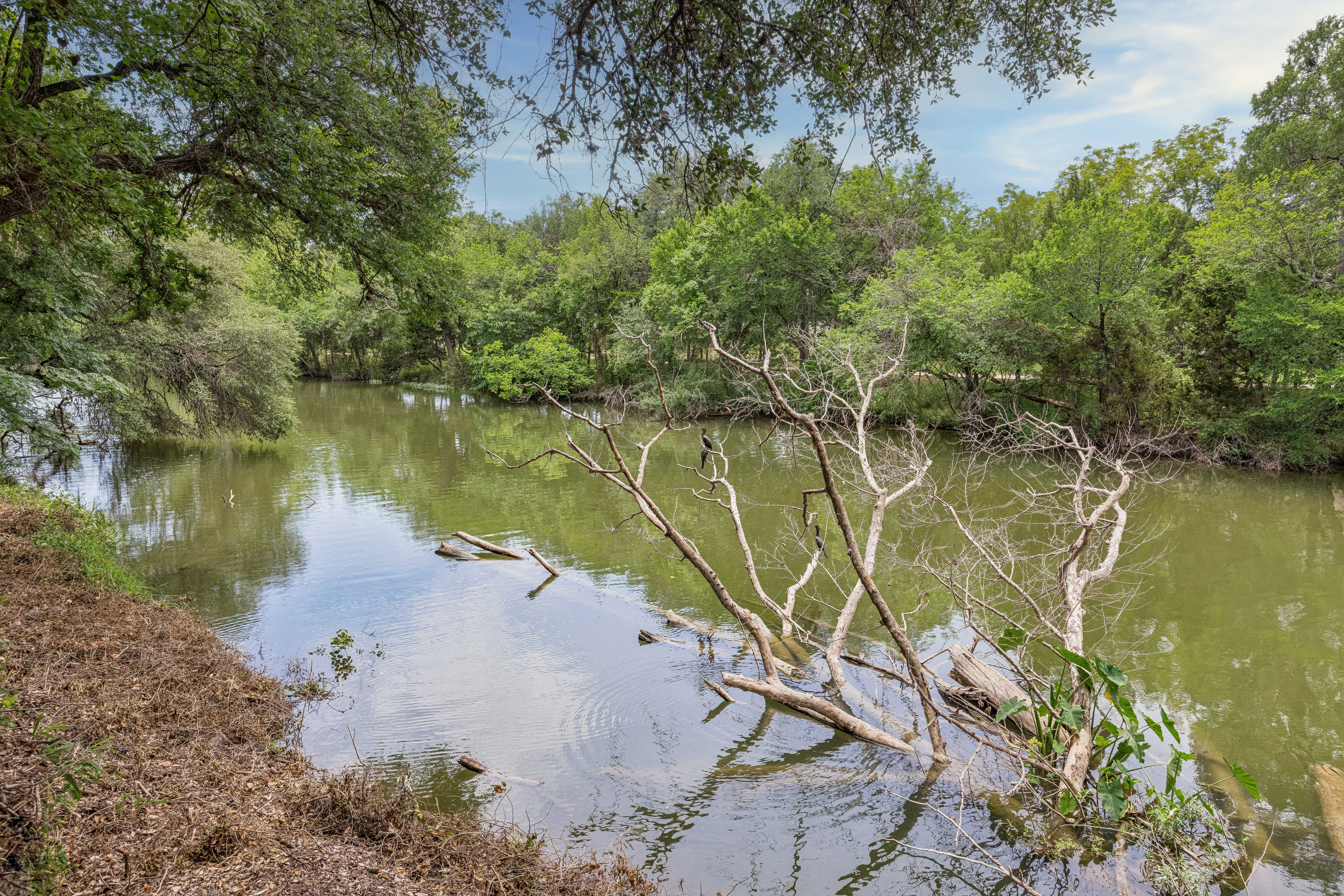 1804 Brushy Bend Drive 