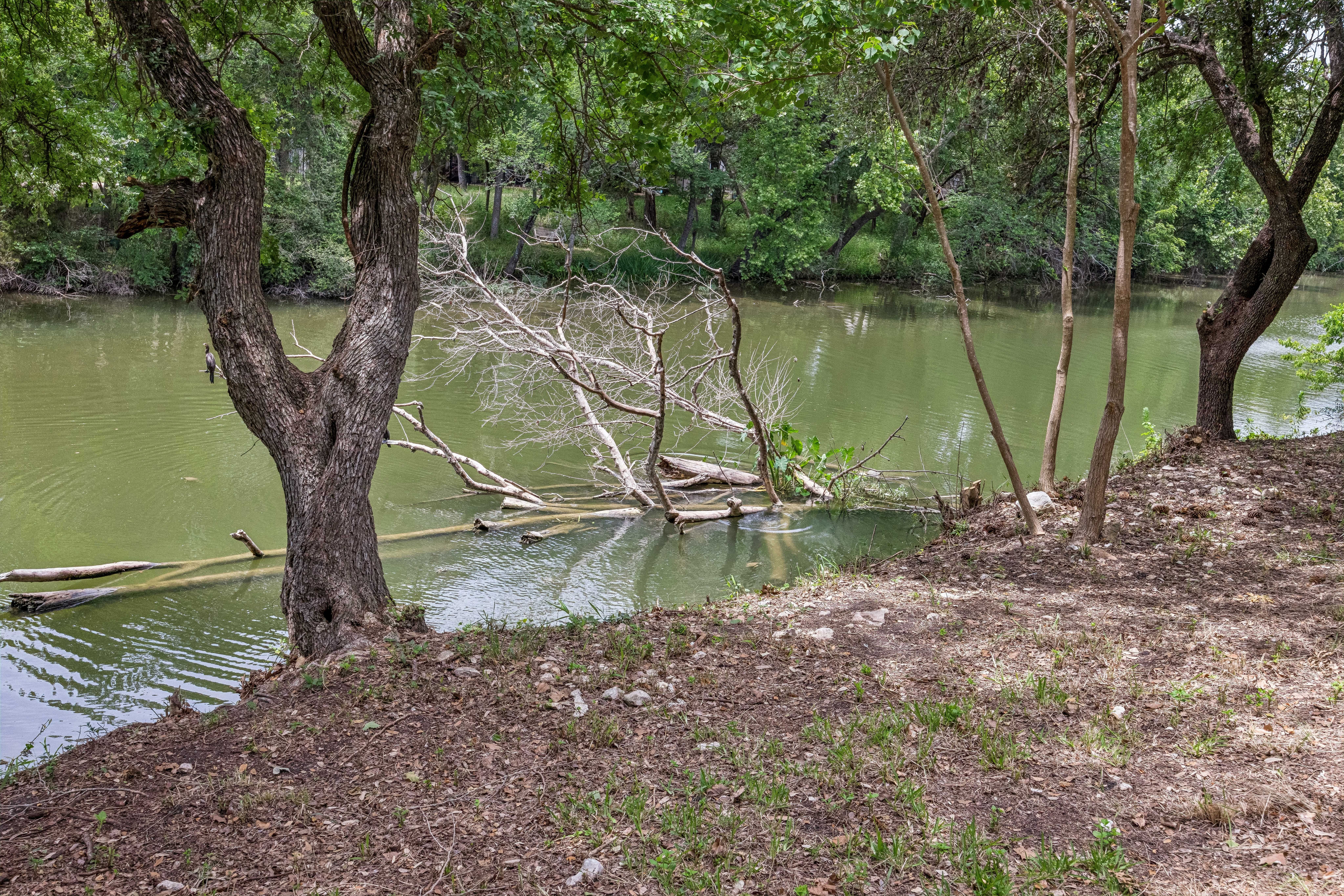 1804 Brushy Bend Drive 