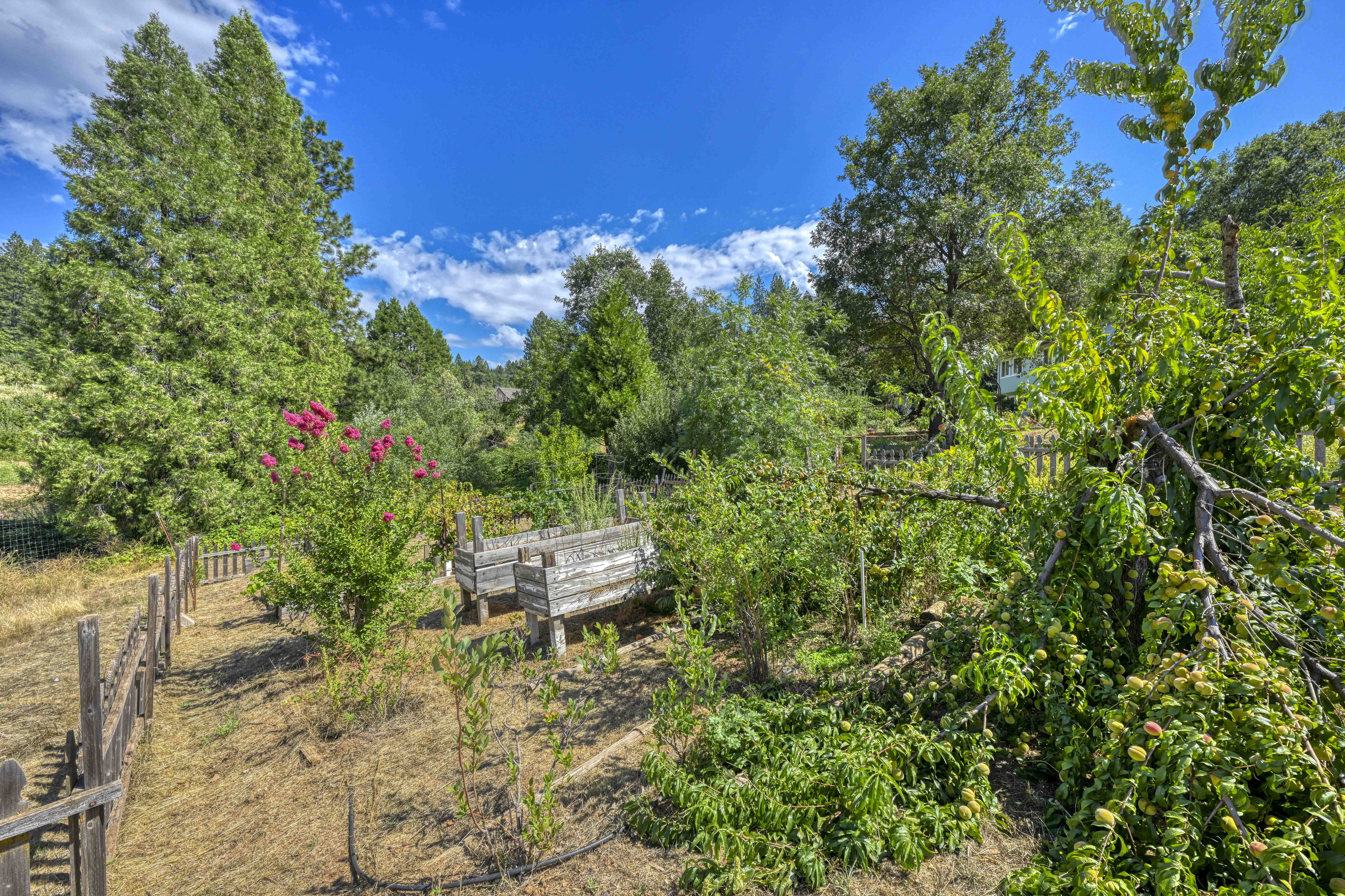 4344 Bumble Bee Lane 