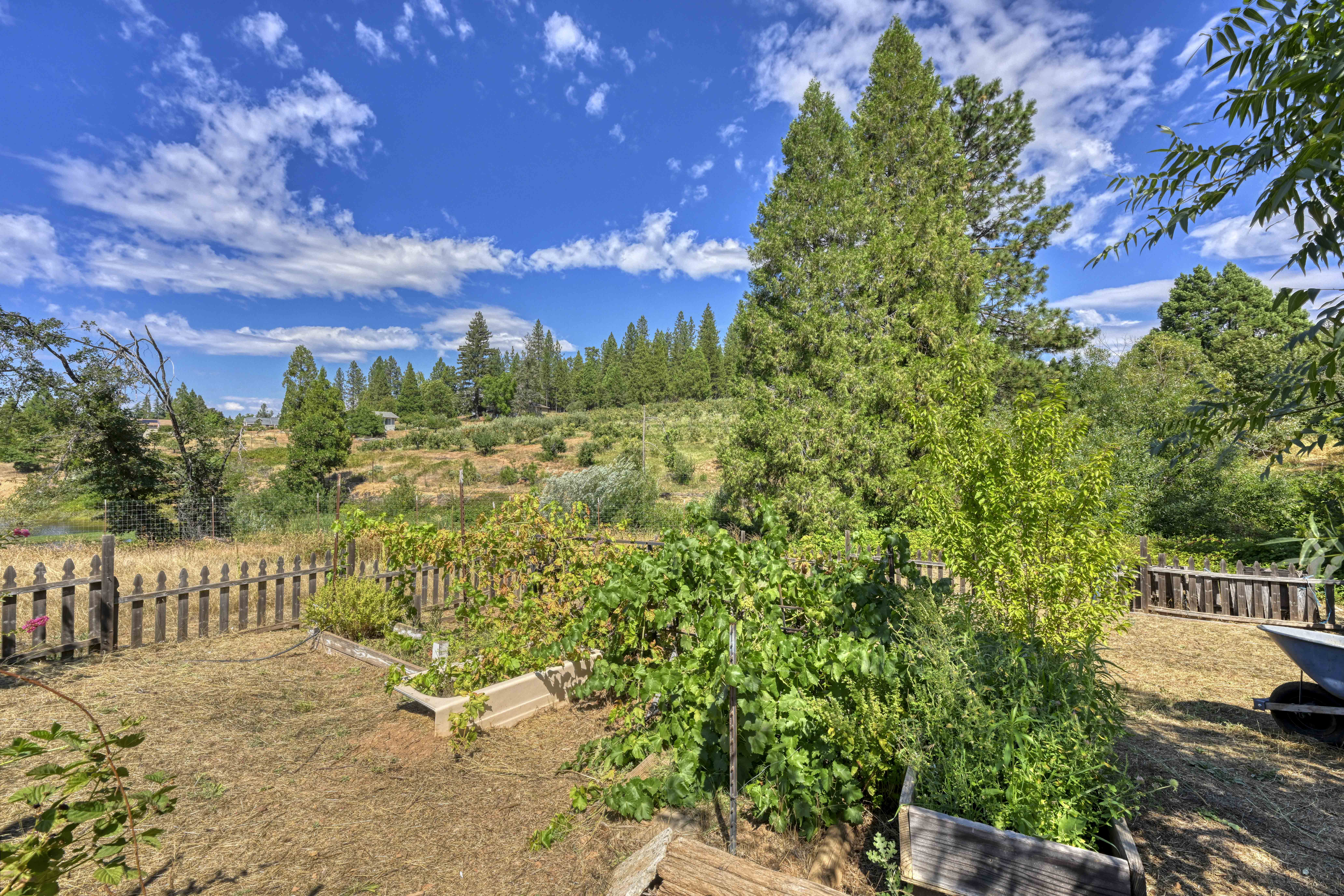 4344 Bumble Bee Lane 