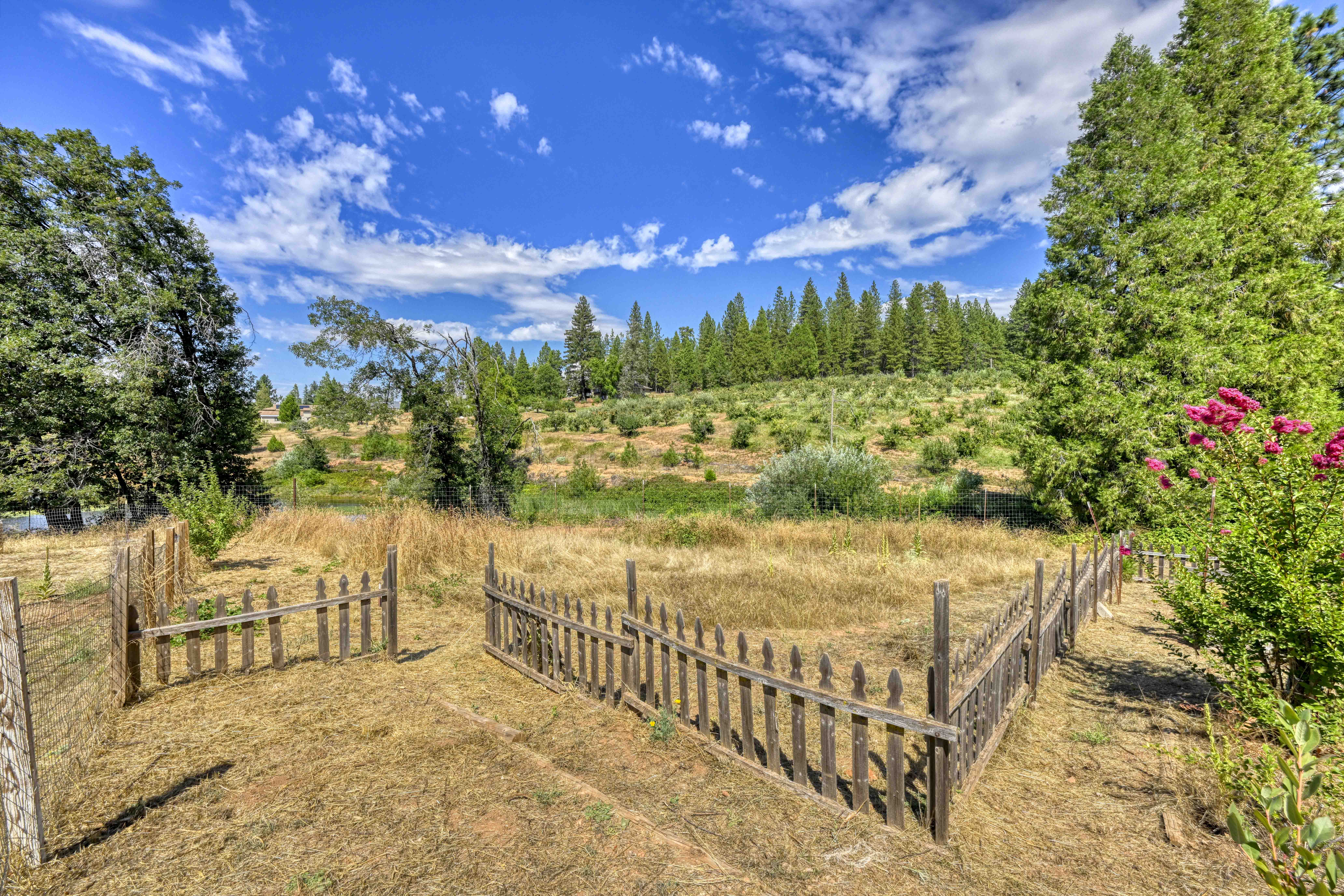 4344 Bumble Bee Lane 