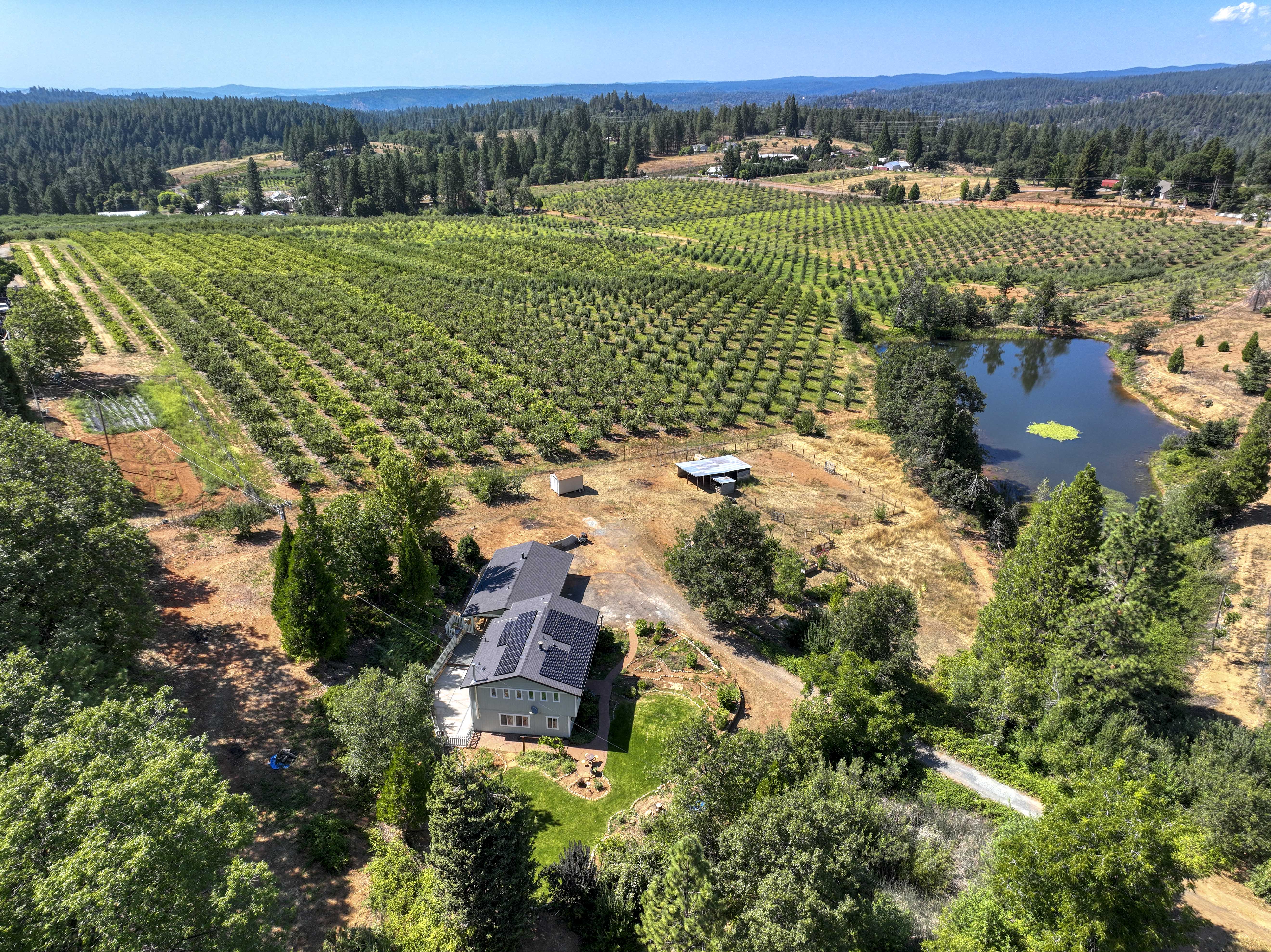 4344 Bumble Bee Lane 