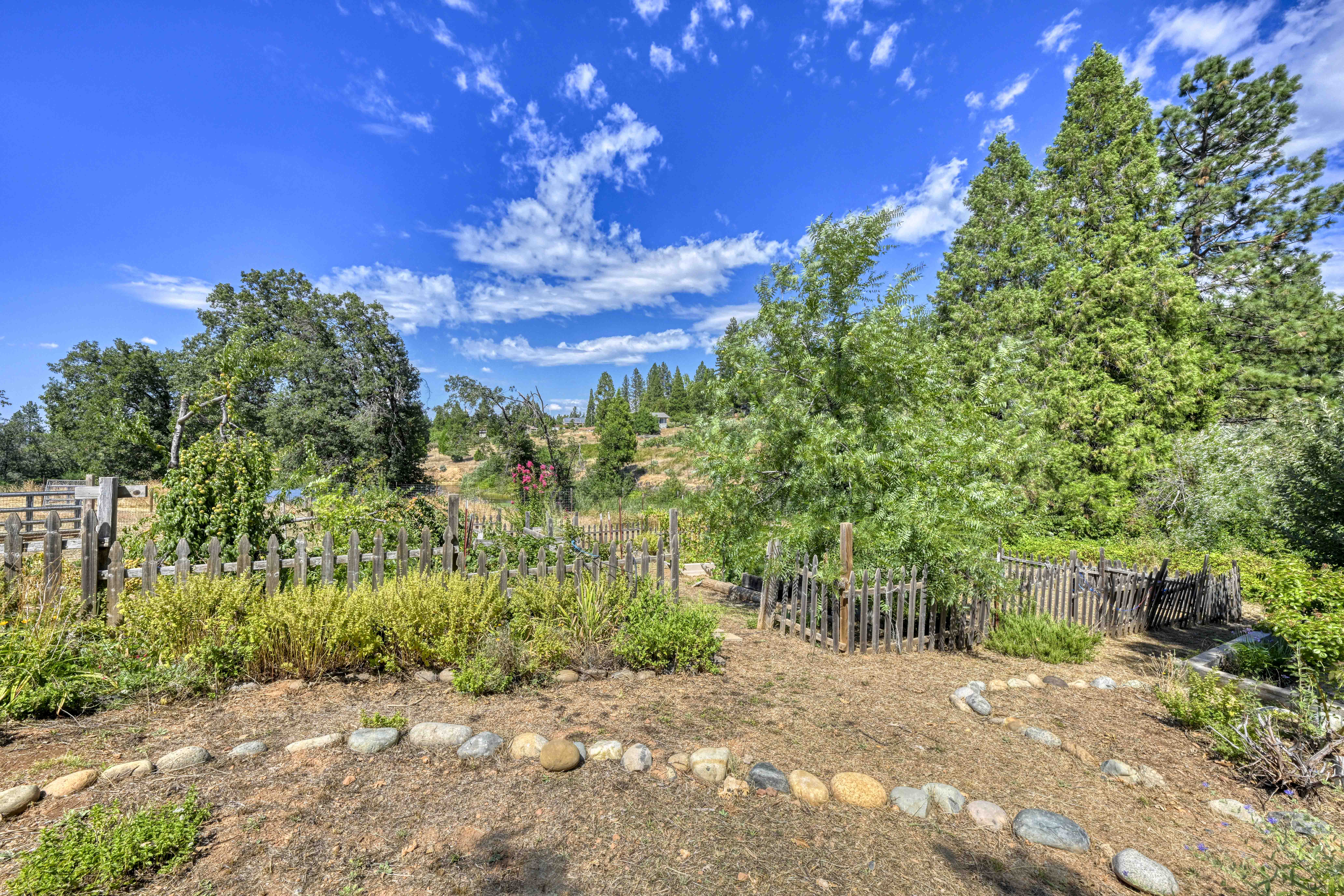 4344 Bumble Bee Lane 