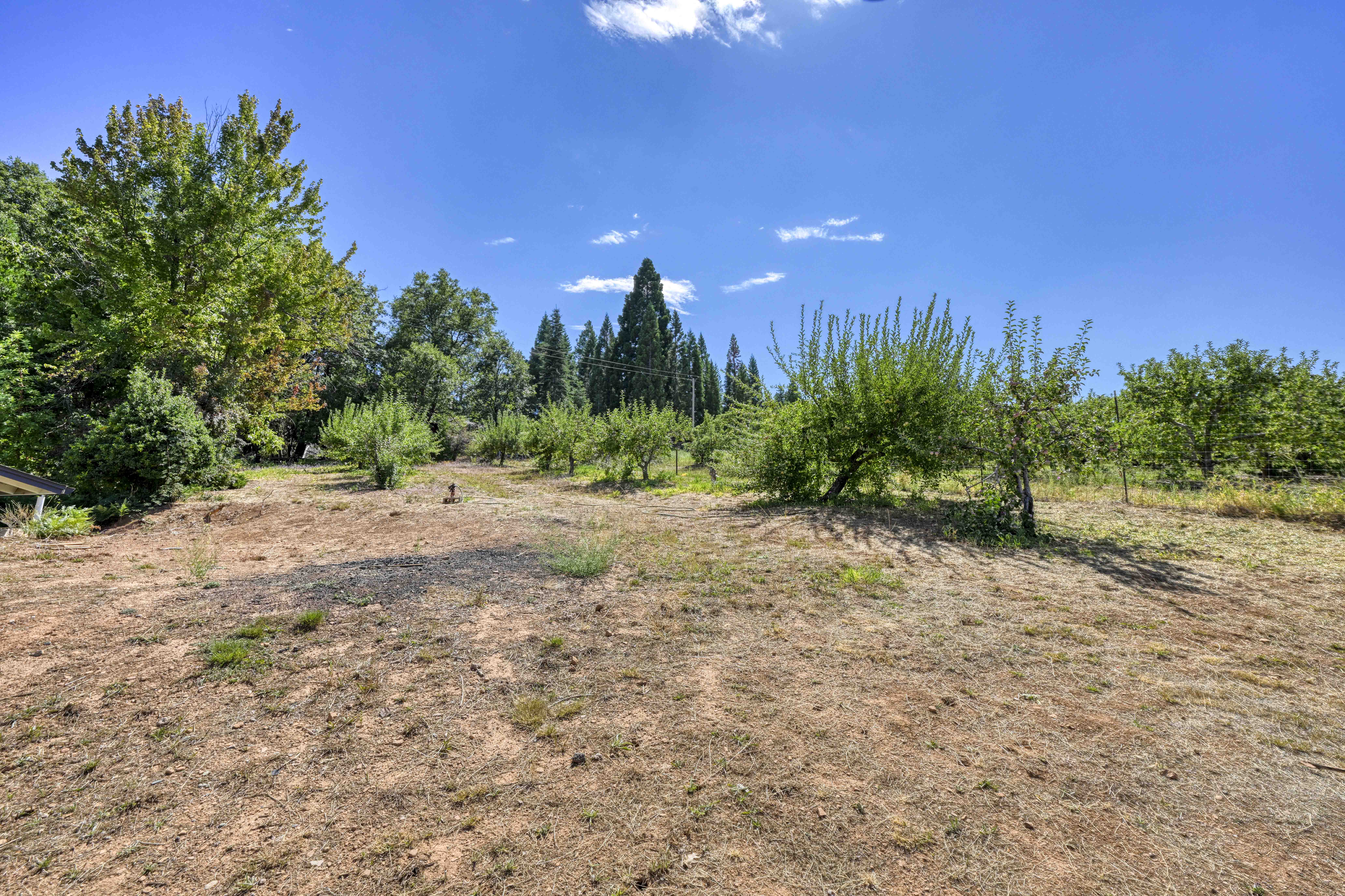 4344 Bumble Bee Lane 