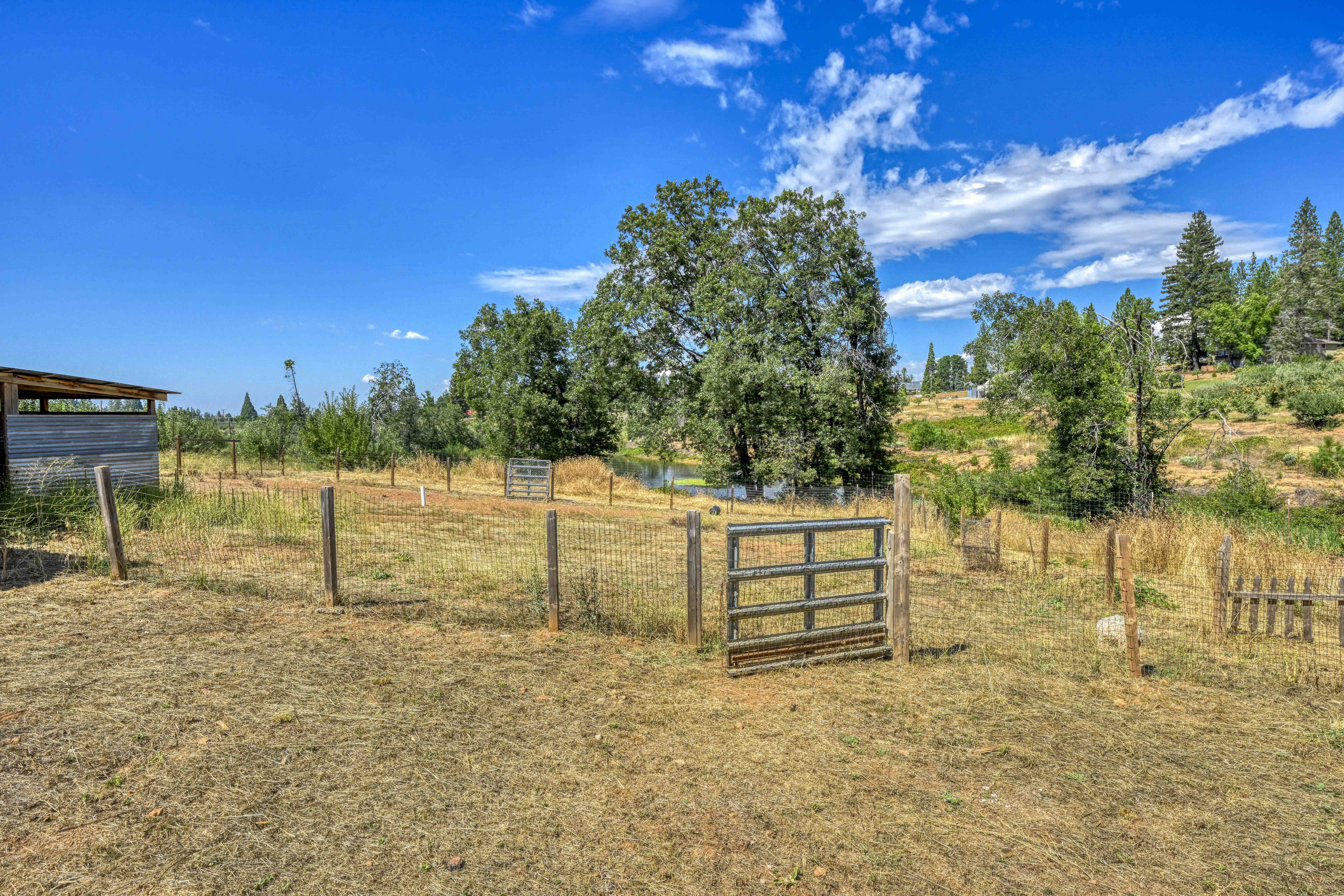 4344 Bumble Bee Lane 