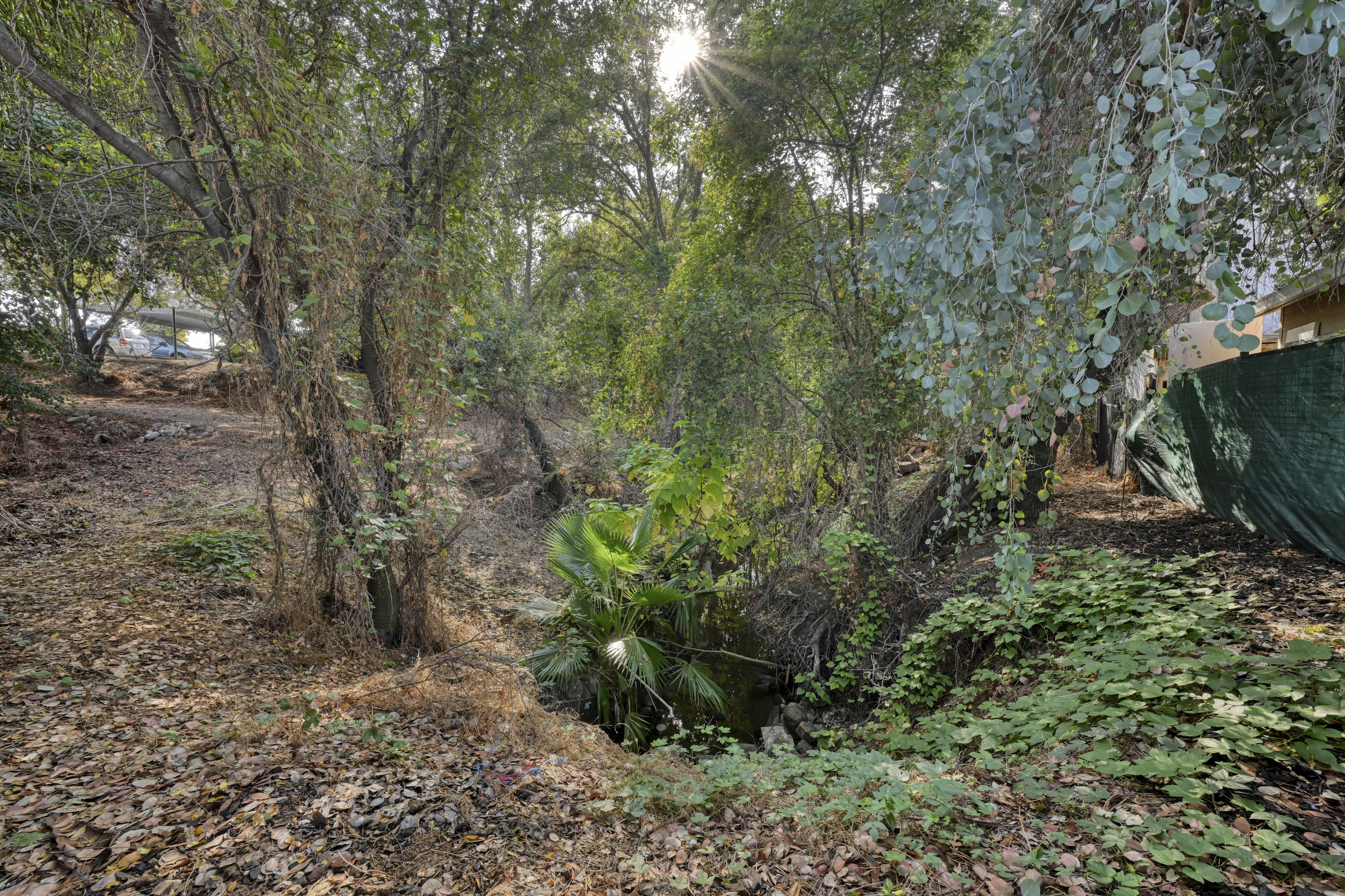 3011 Twin Creeks Lane 