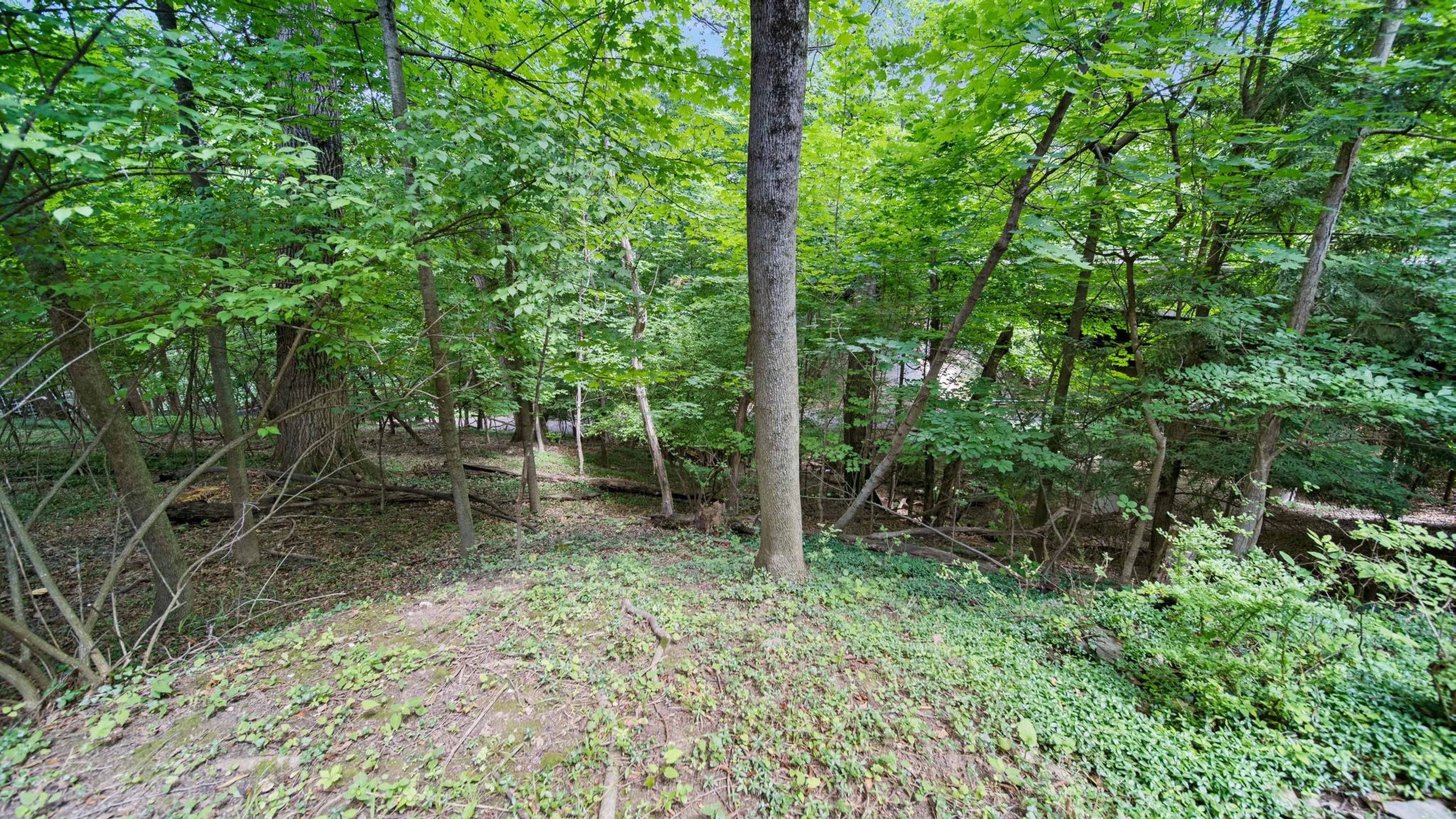 235 Walhalla Road
