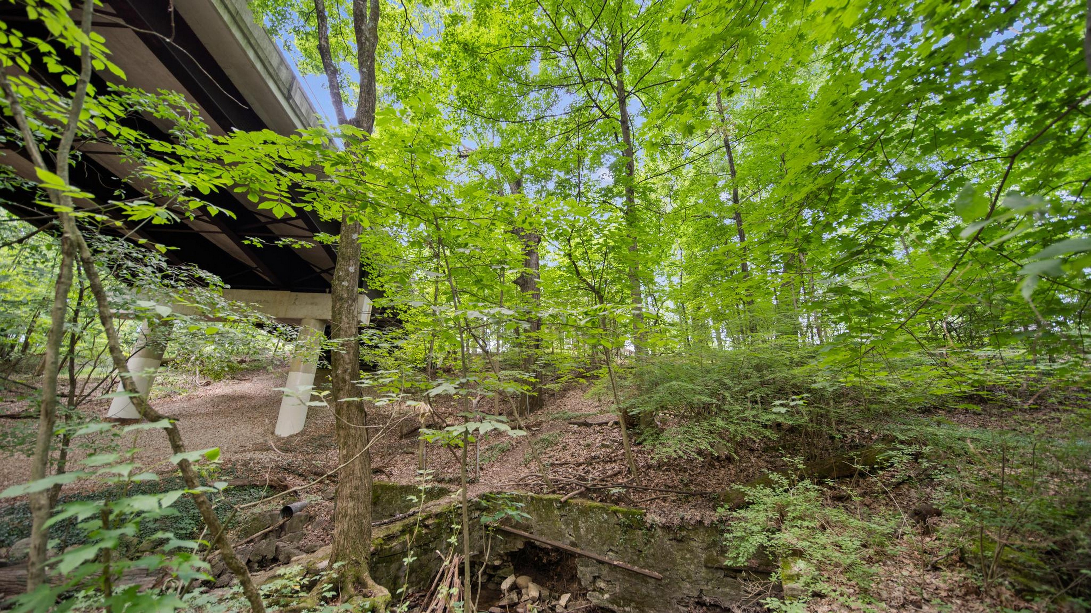 235 Walhalla Road