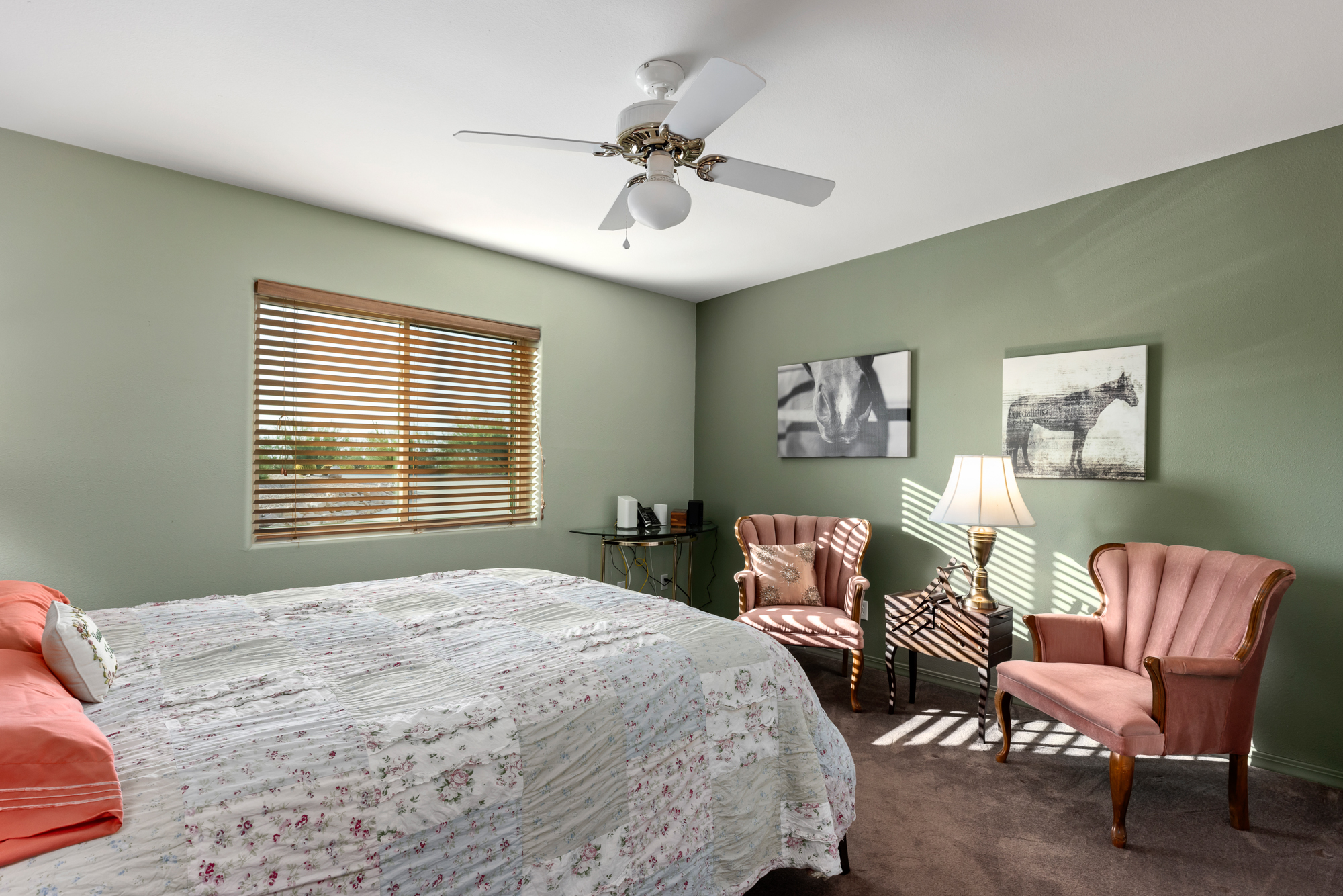 5135 W Paseo Del Campo 