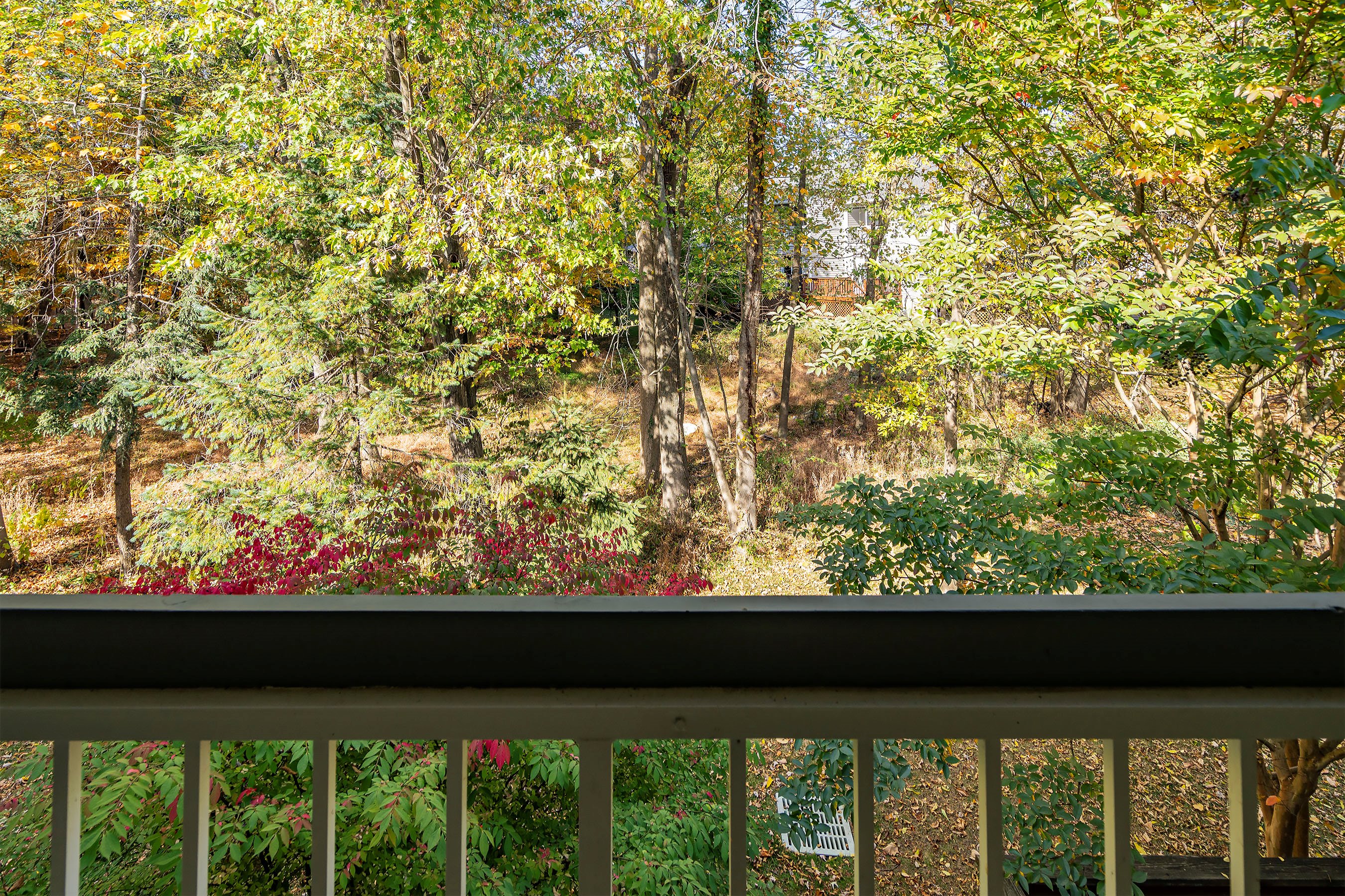 38 Essex Dr
