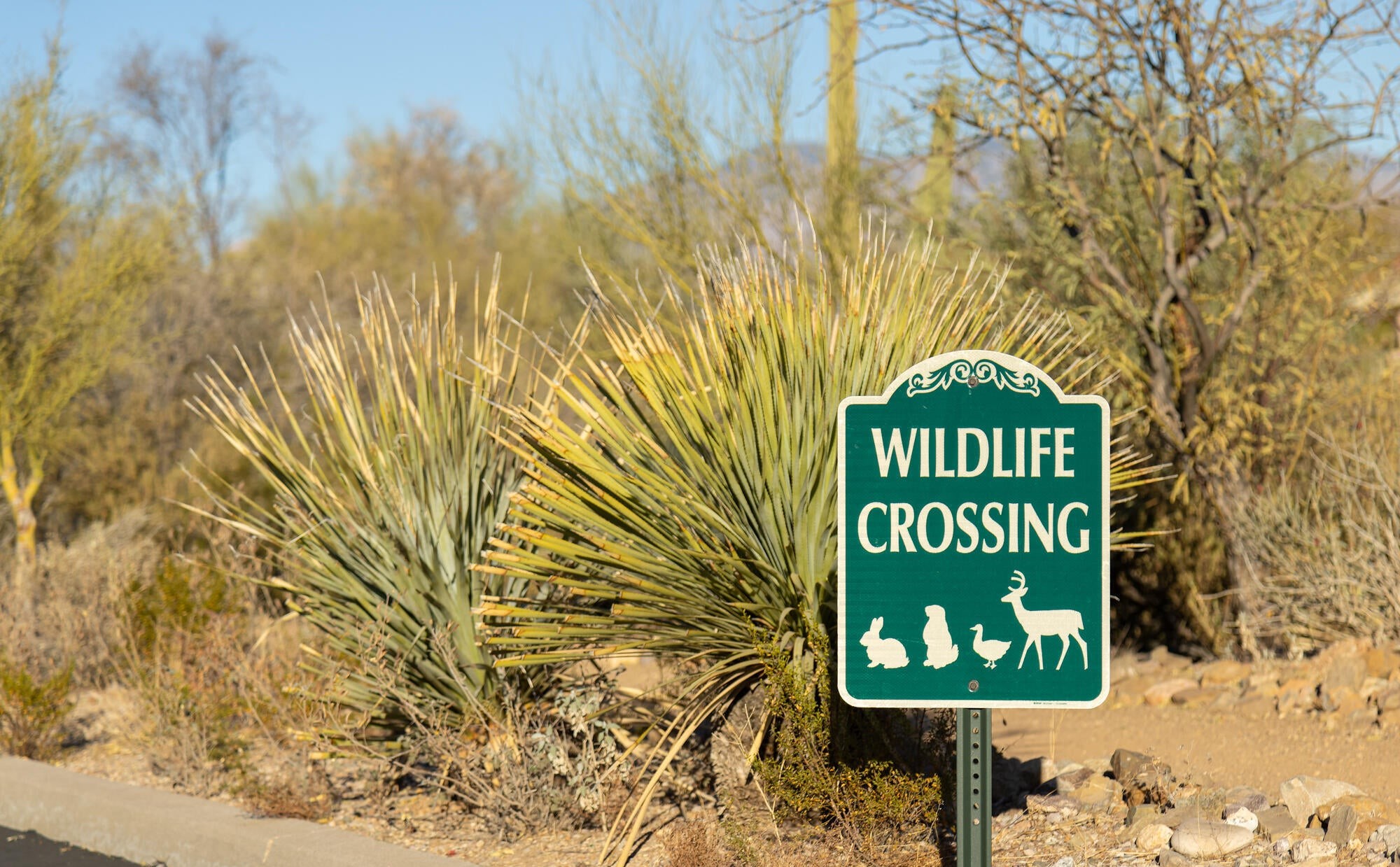 4092 W Tombolo Trail 