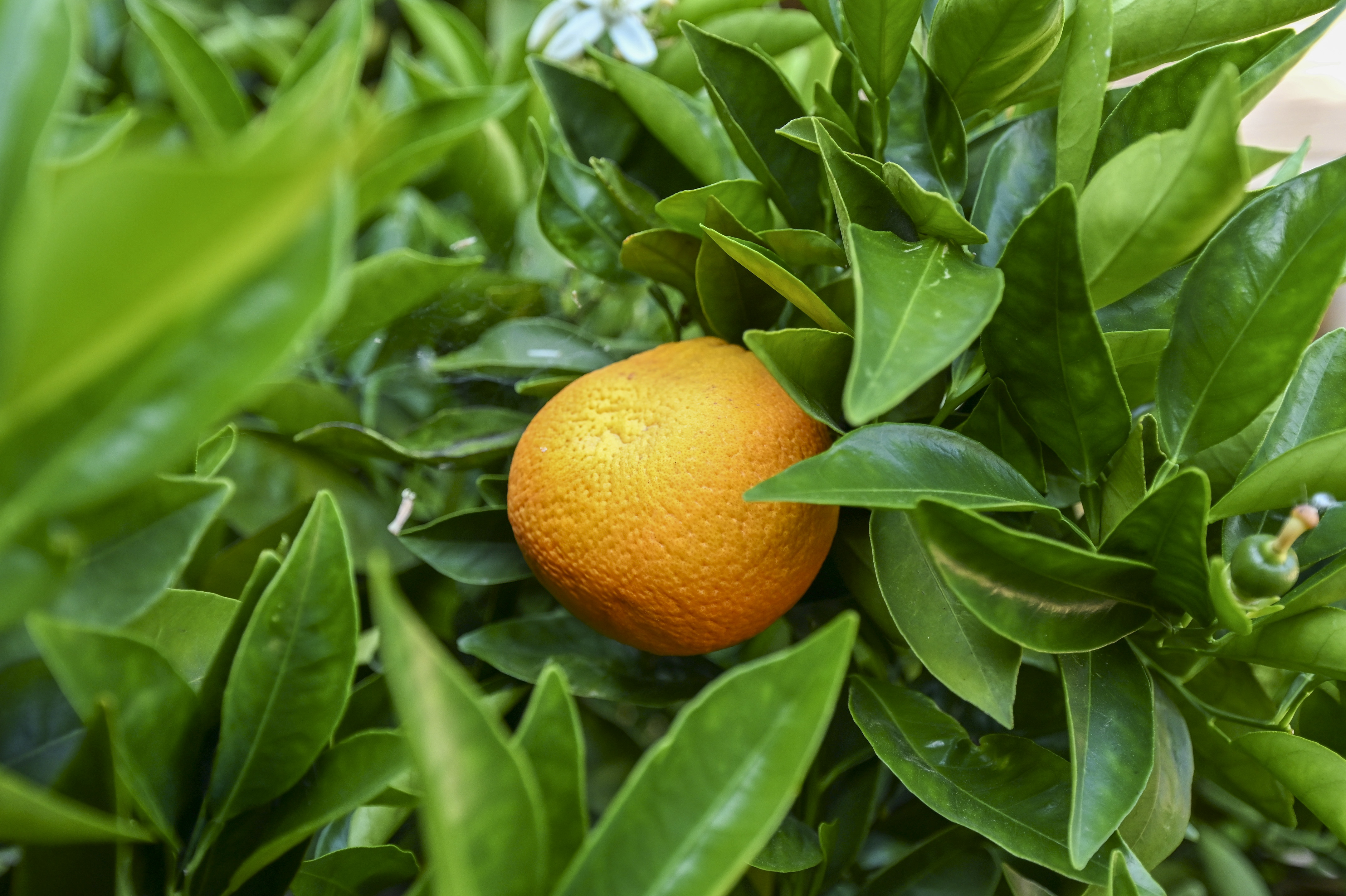 1166 27th Avenue 
