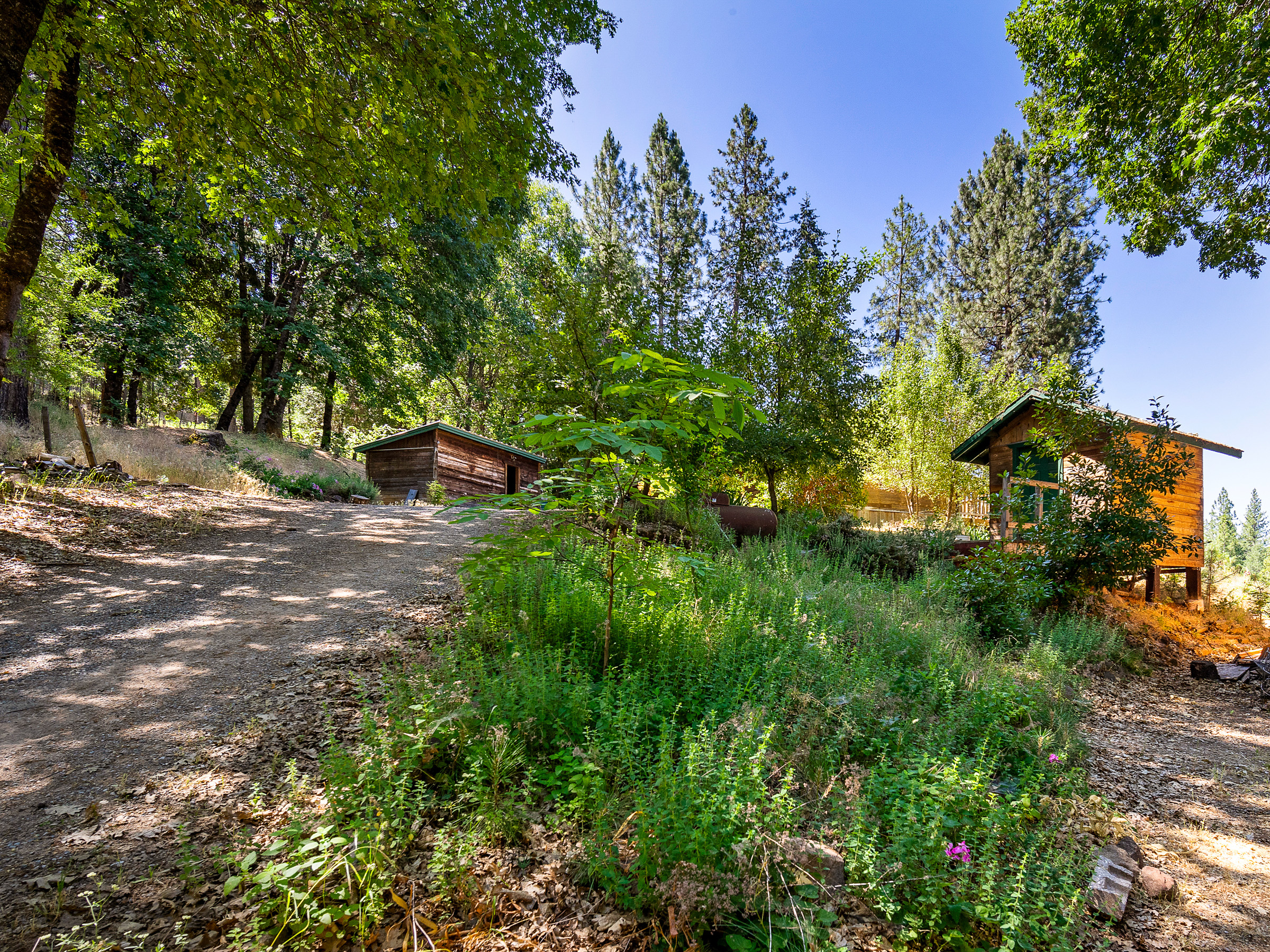 1423 Argonaut Lane 