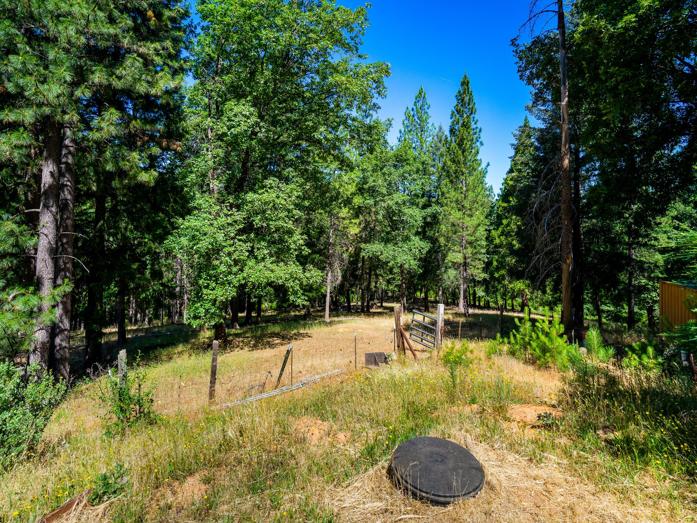 1423 Argonaut Lane 