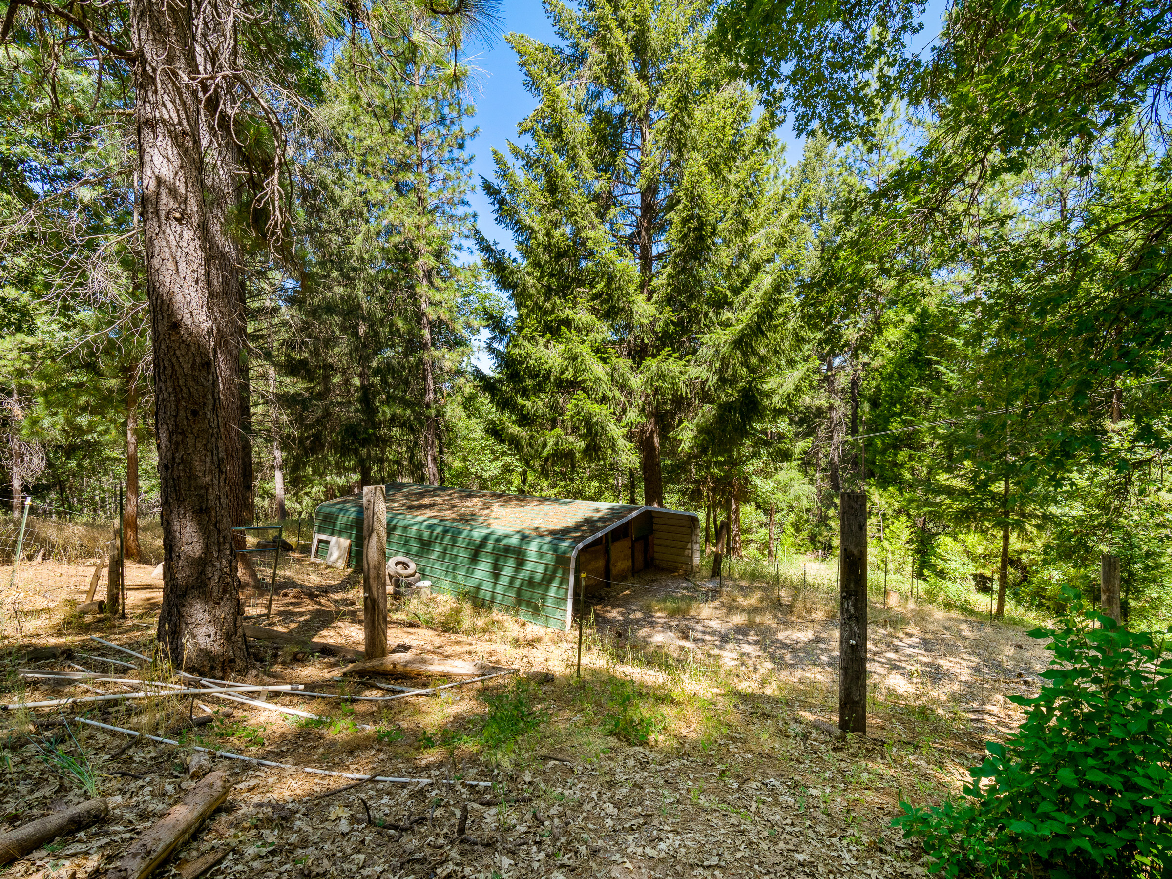 1423 Argonaut Lane 