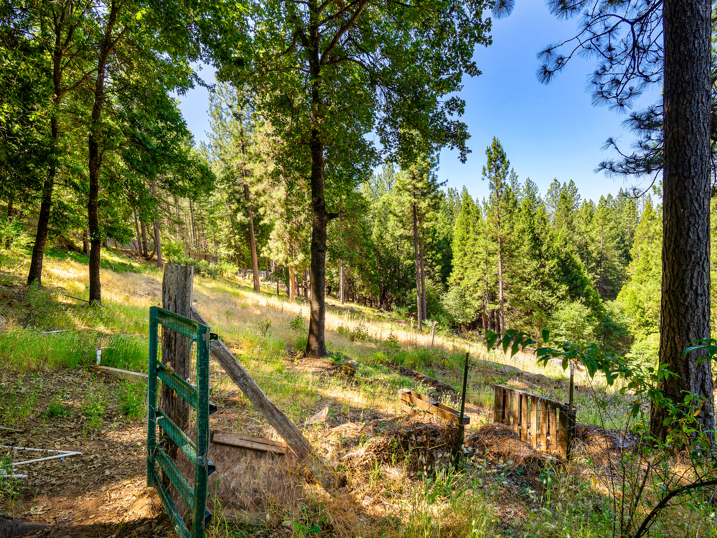 1423 Argonaut Lane 
