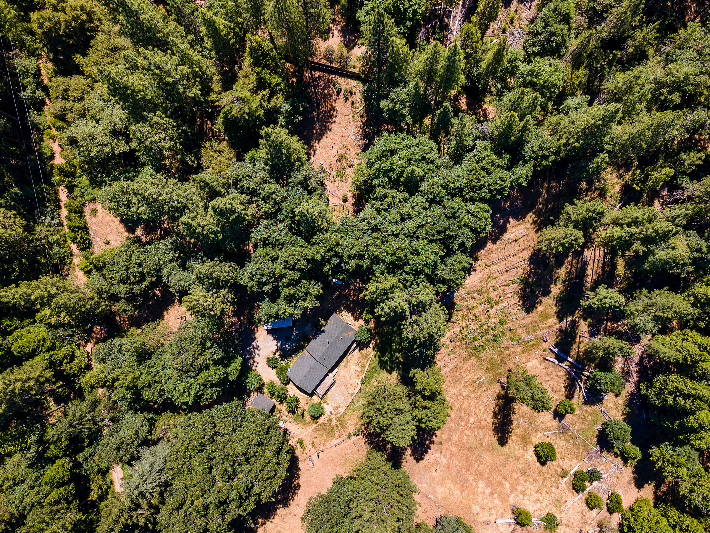 1423 Argonaut Lane 