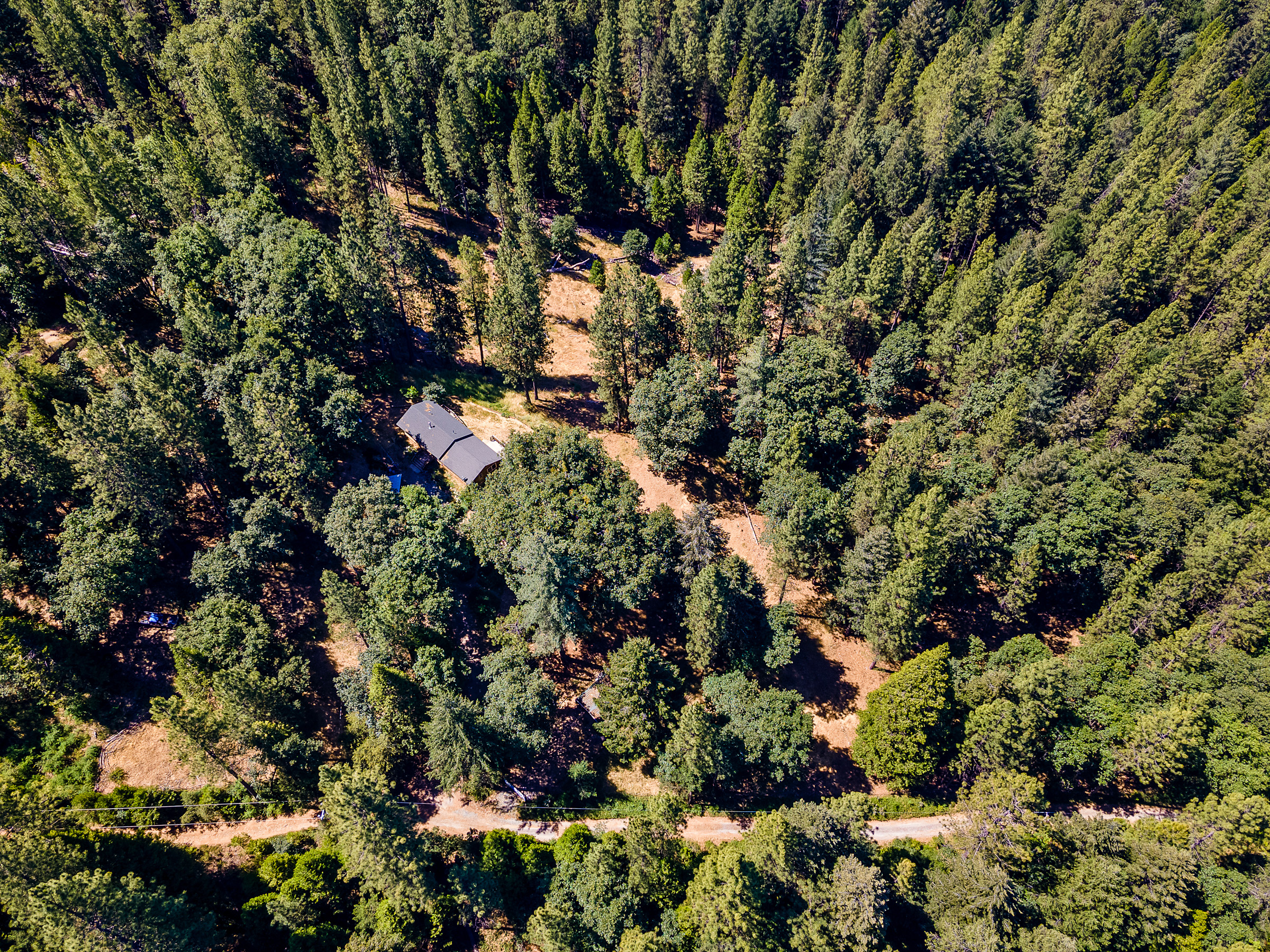 1423 Argonaut Lane 